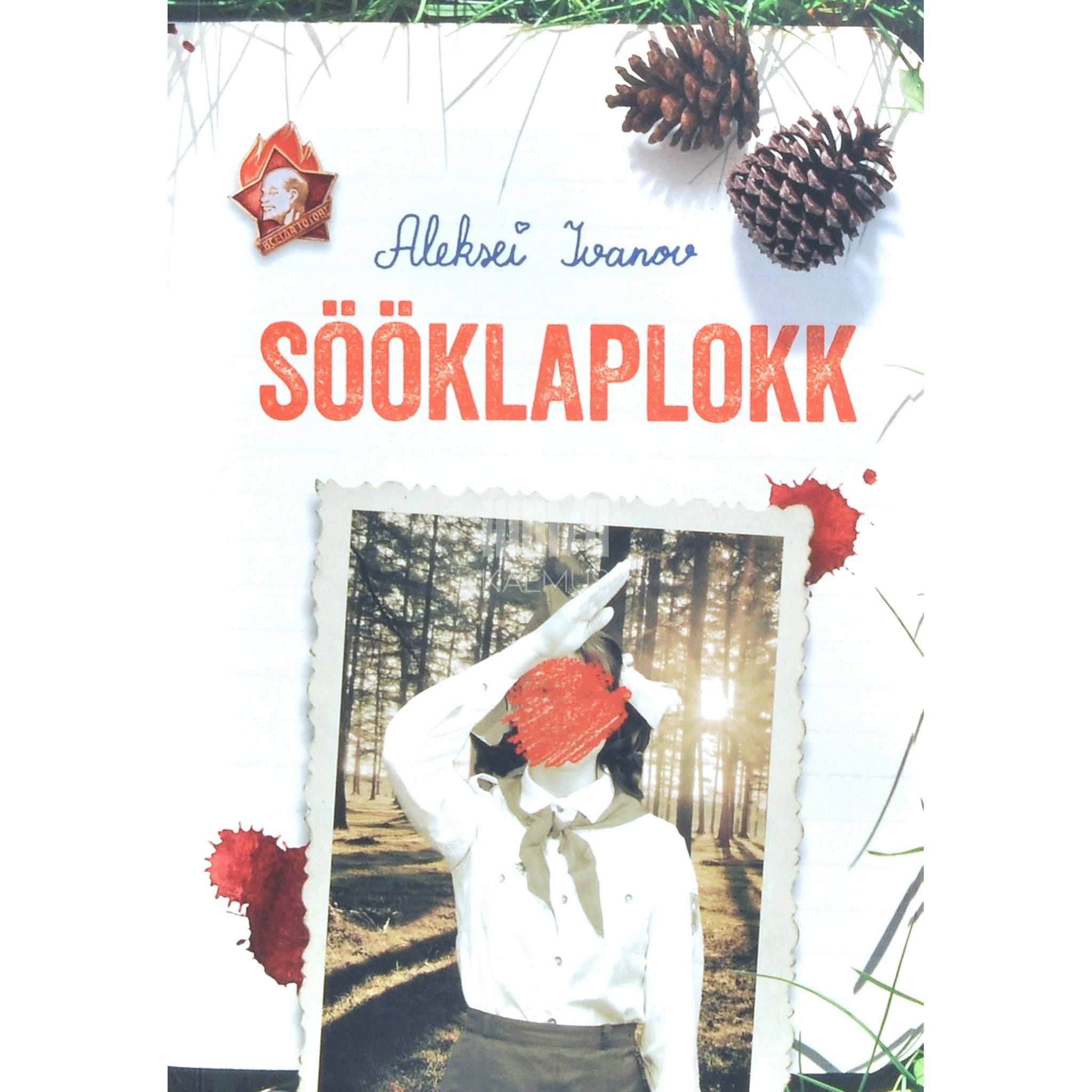 Aleksei Ivanov Sööklaplokk