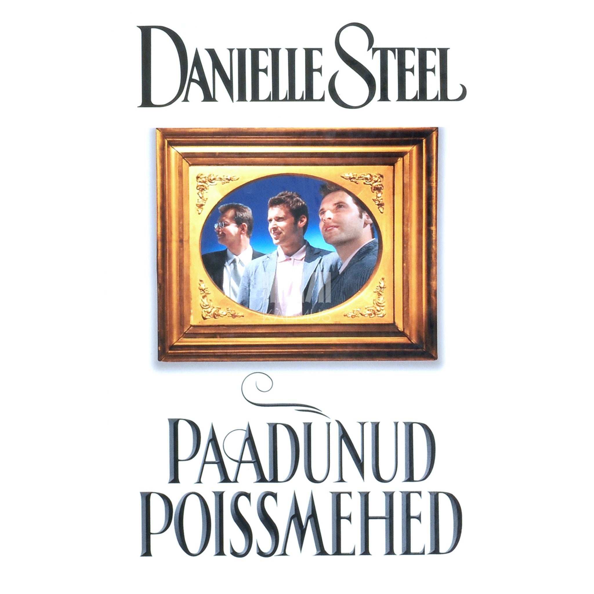 Danielle Steel Paadunud poissmehed
