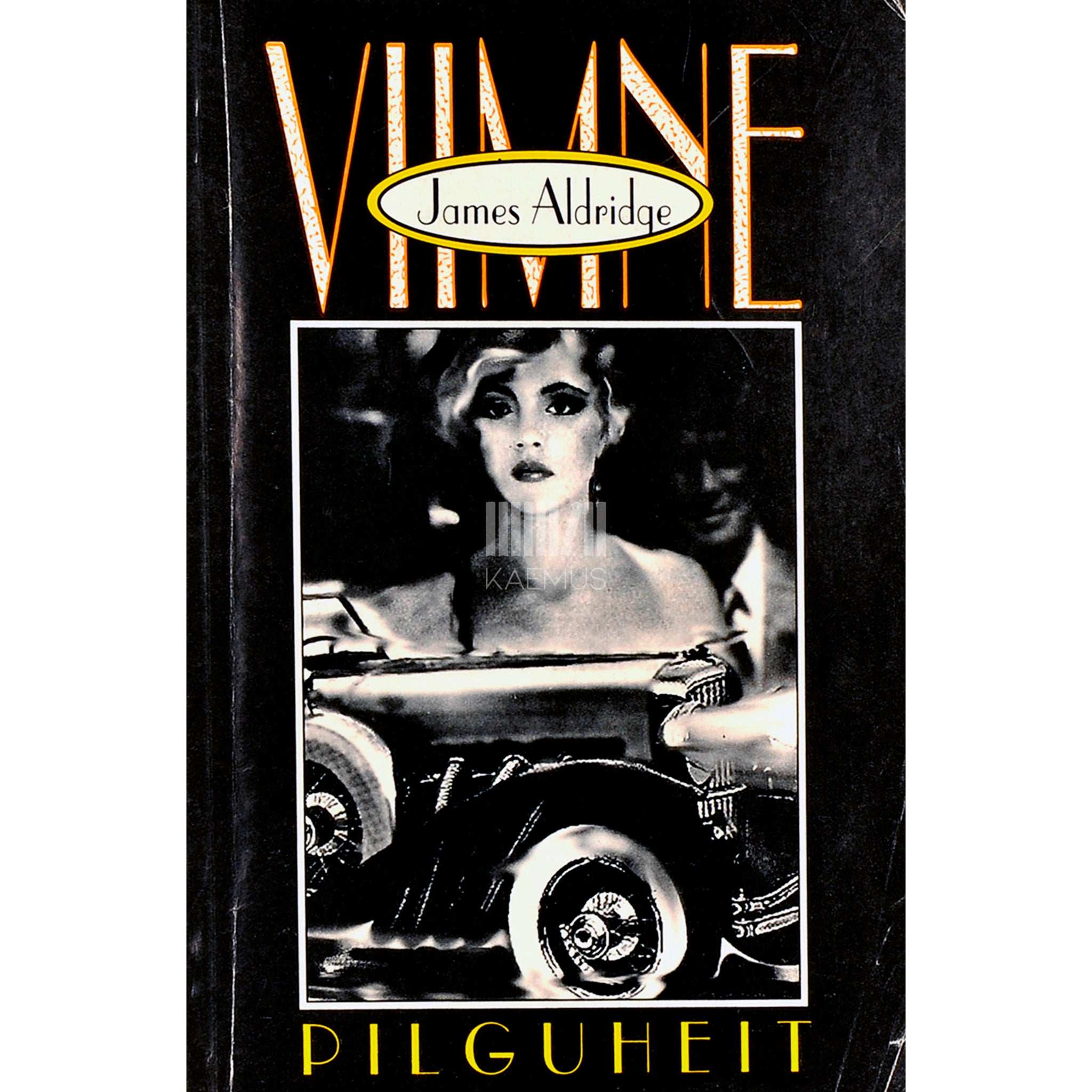 James Aldridge Viimne pilguheit