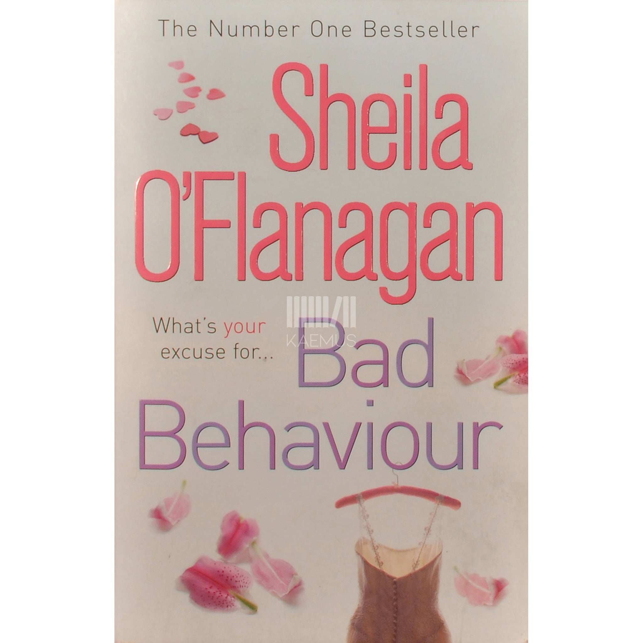 Sheila O'Flanagan Bad Behaviour