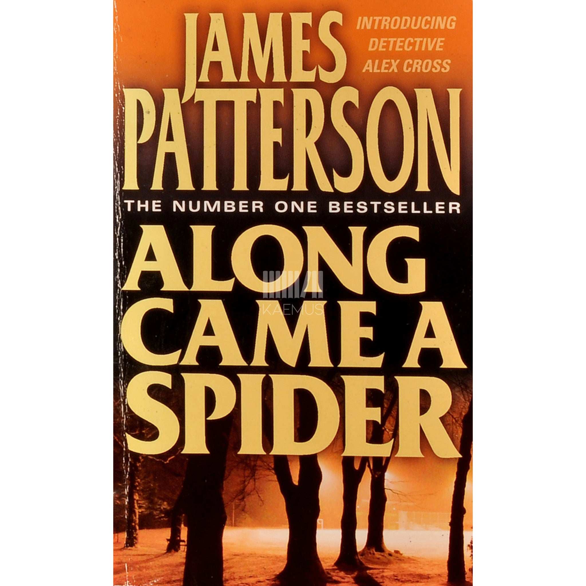James Patterson Along Came A Spider