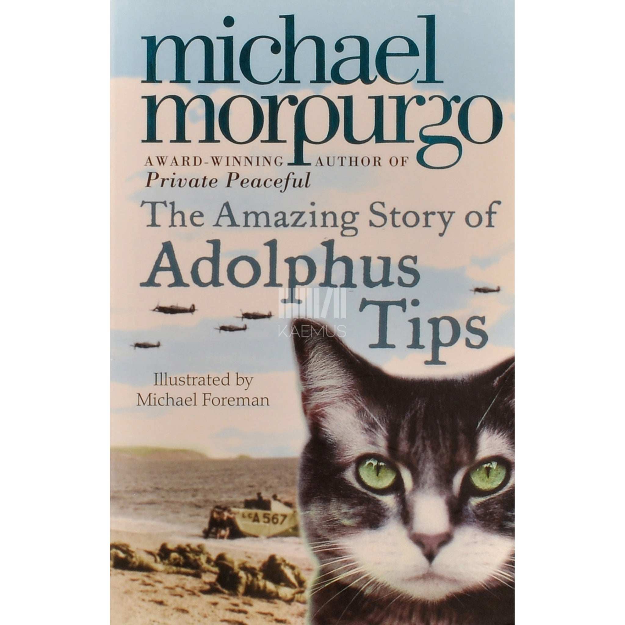 Michael Morpurgo The Amazing Story Of Adolphus Tips
