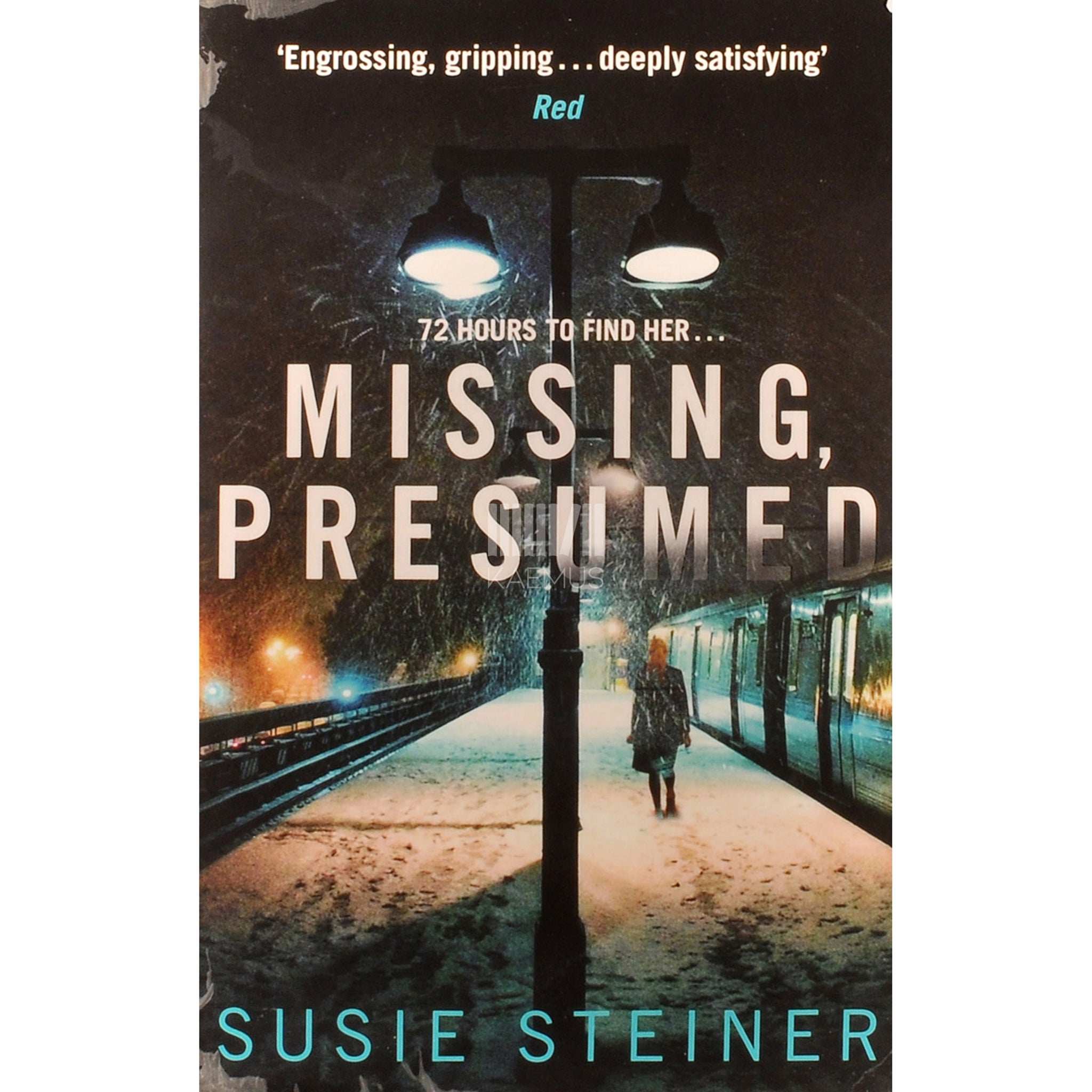 Susie Steiner Missing, Presumed