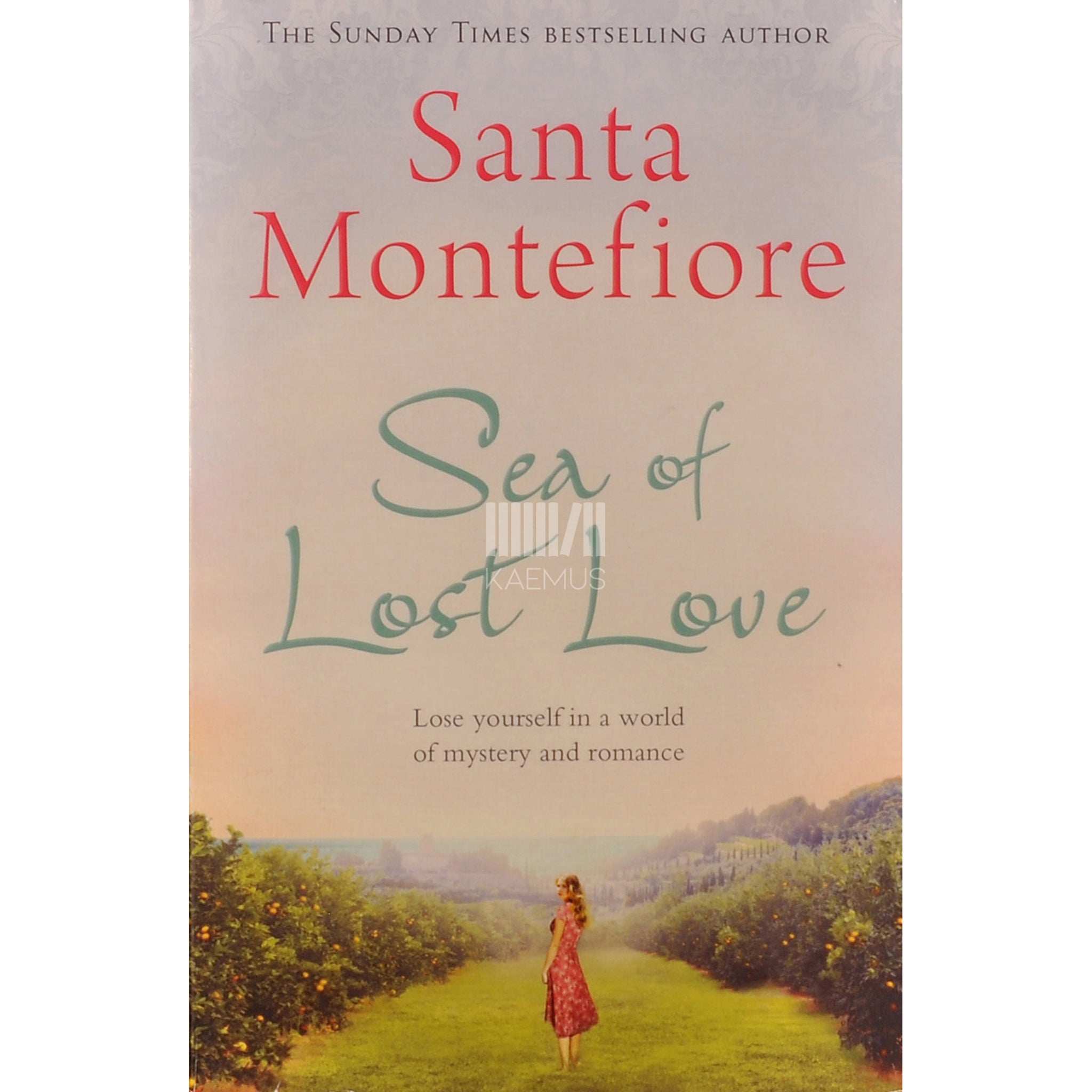 Santa Montefiore Sea Of Lost Love