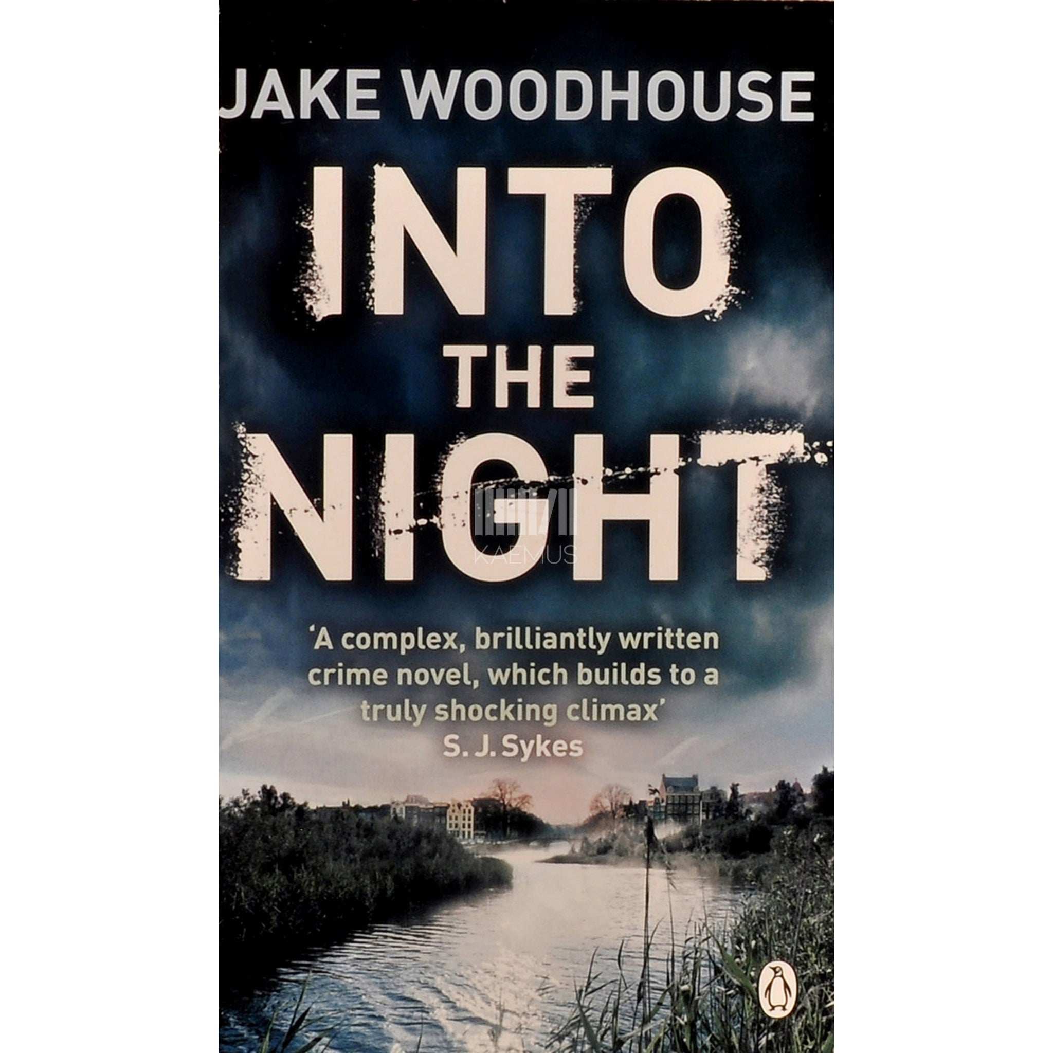 Jake Woodhouse Into The Night