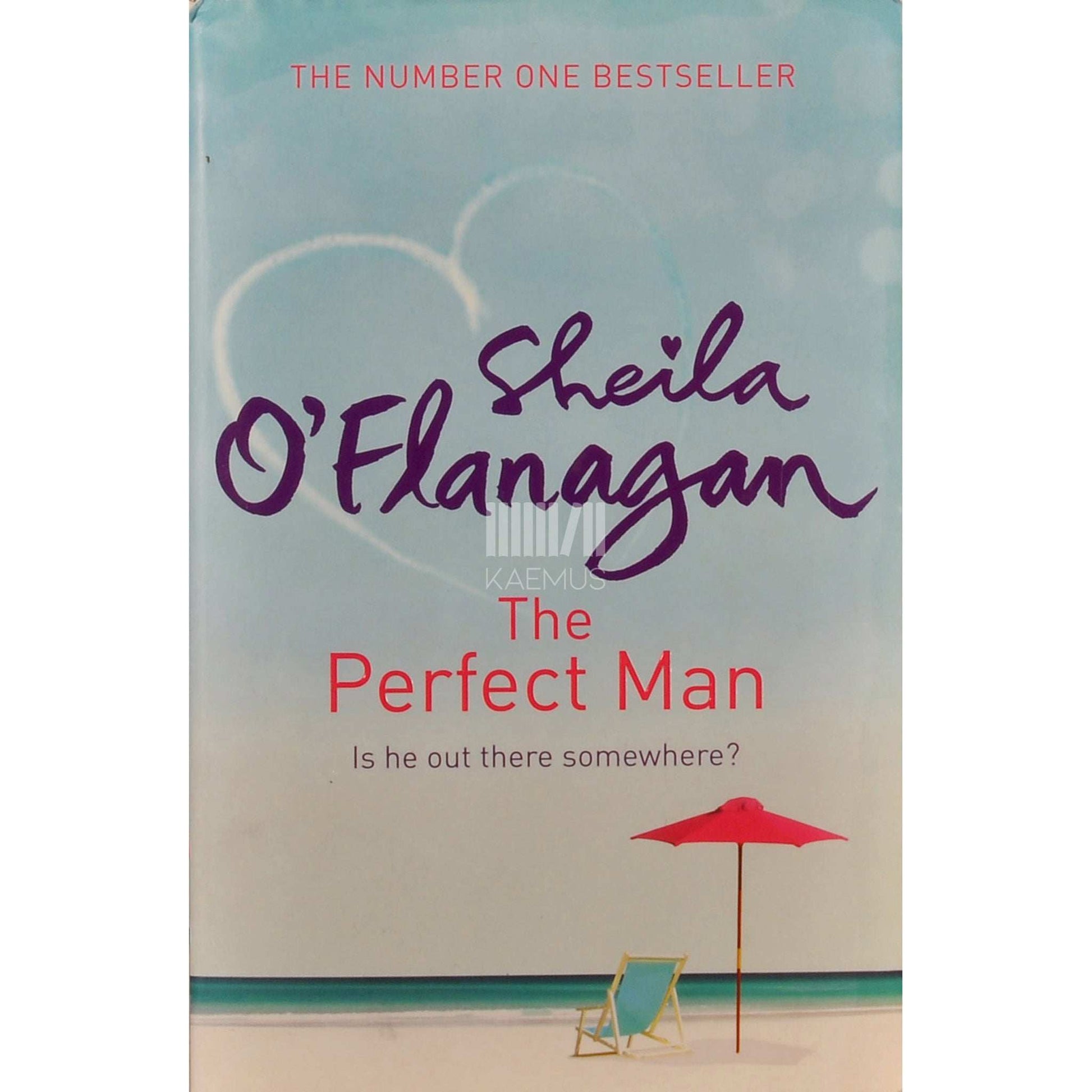 Sheila O'Flanagan - The Perfect Man