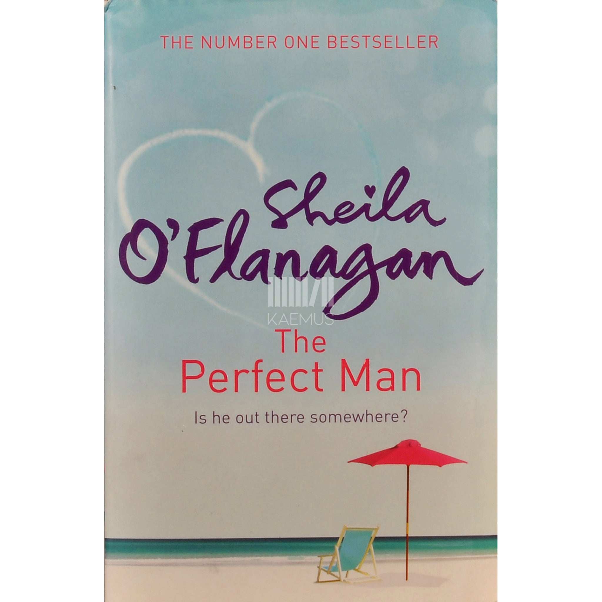 Sheila O'Flanagan The Perfect Man