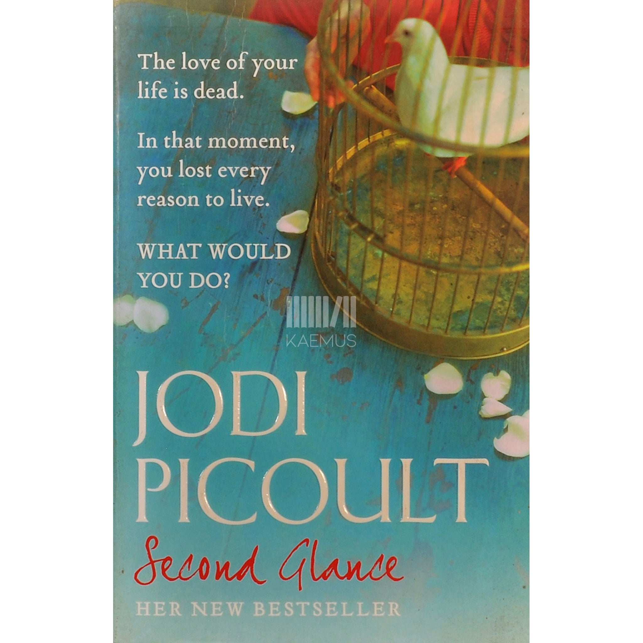 Jodi Picoult Second Glance