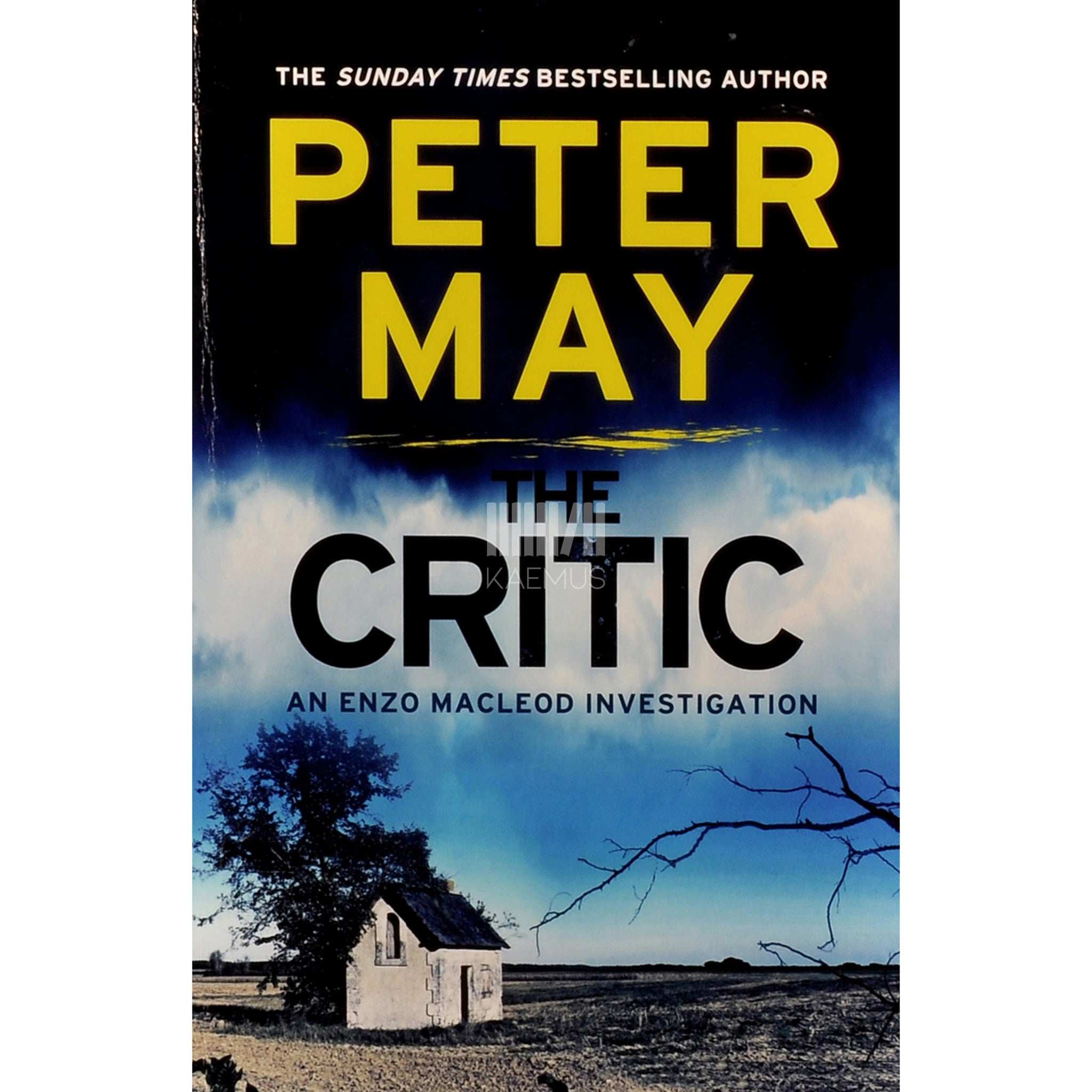 Peter May The Critic