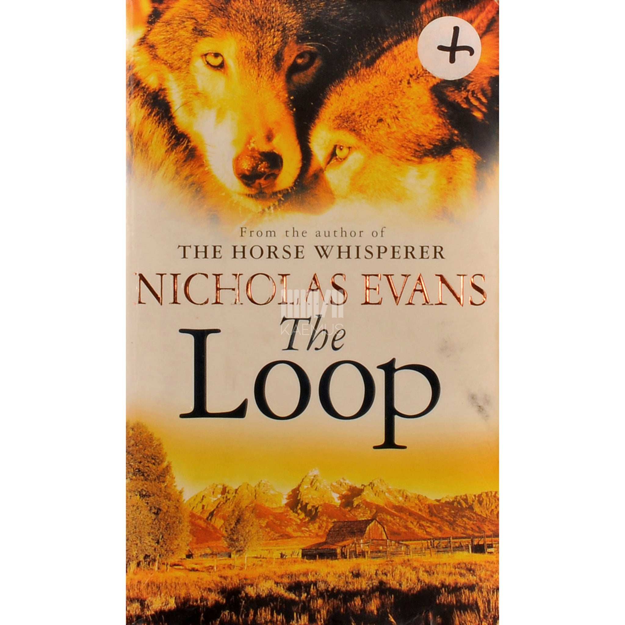 Nicholas Evans The Loop