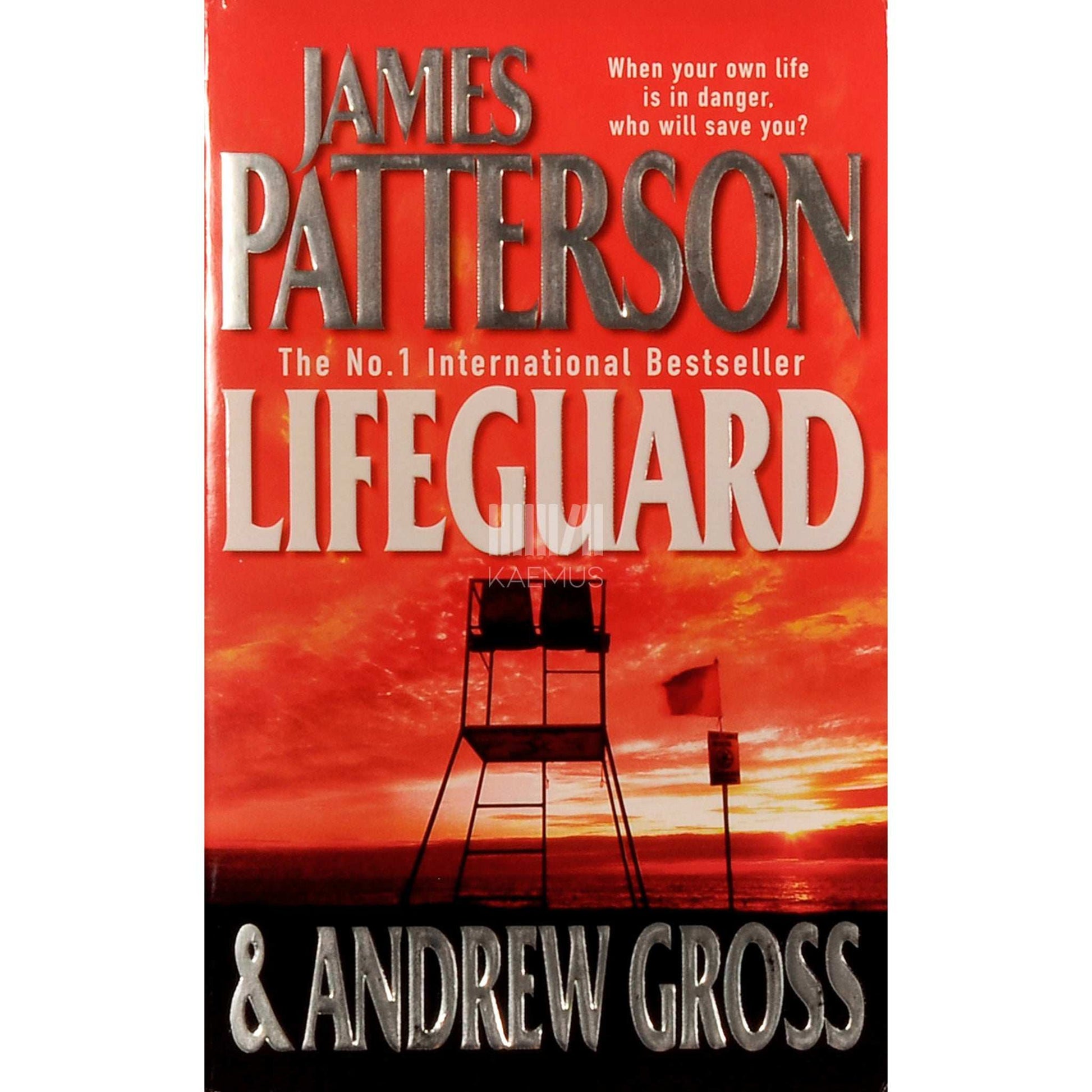 James Patterson with Andrew Gross; Andrew Gross - Lifeguard