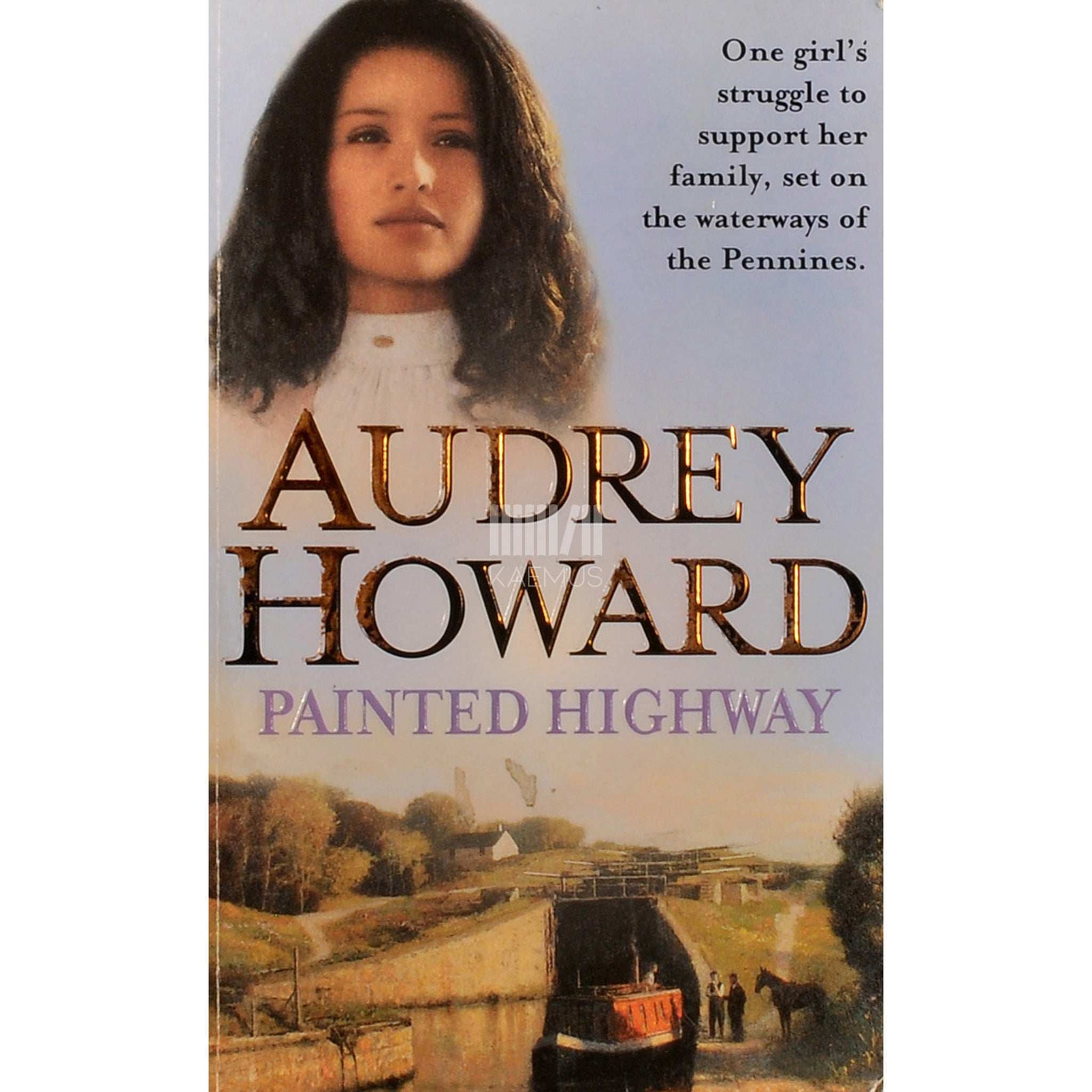 Audrey Howard Painted Highway