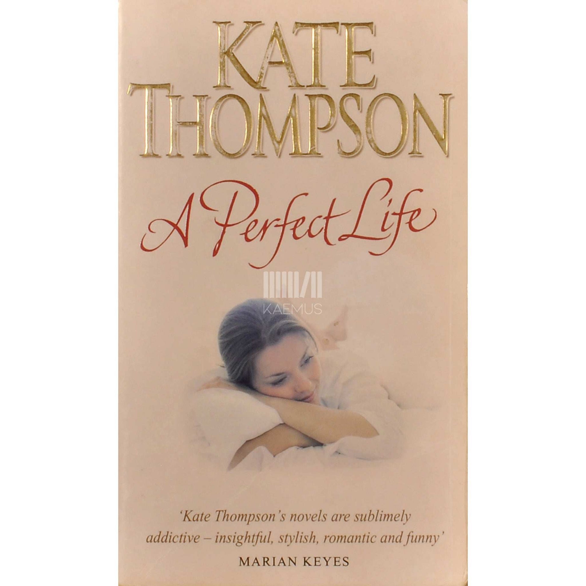 Kate Thompson - A Perfect Life