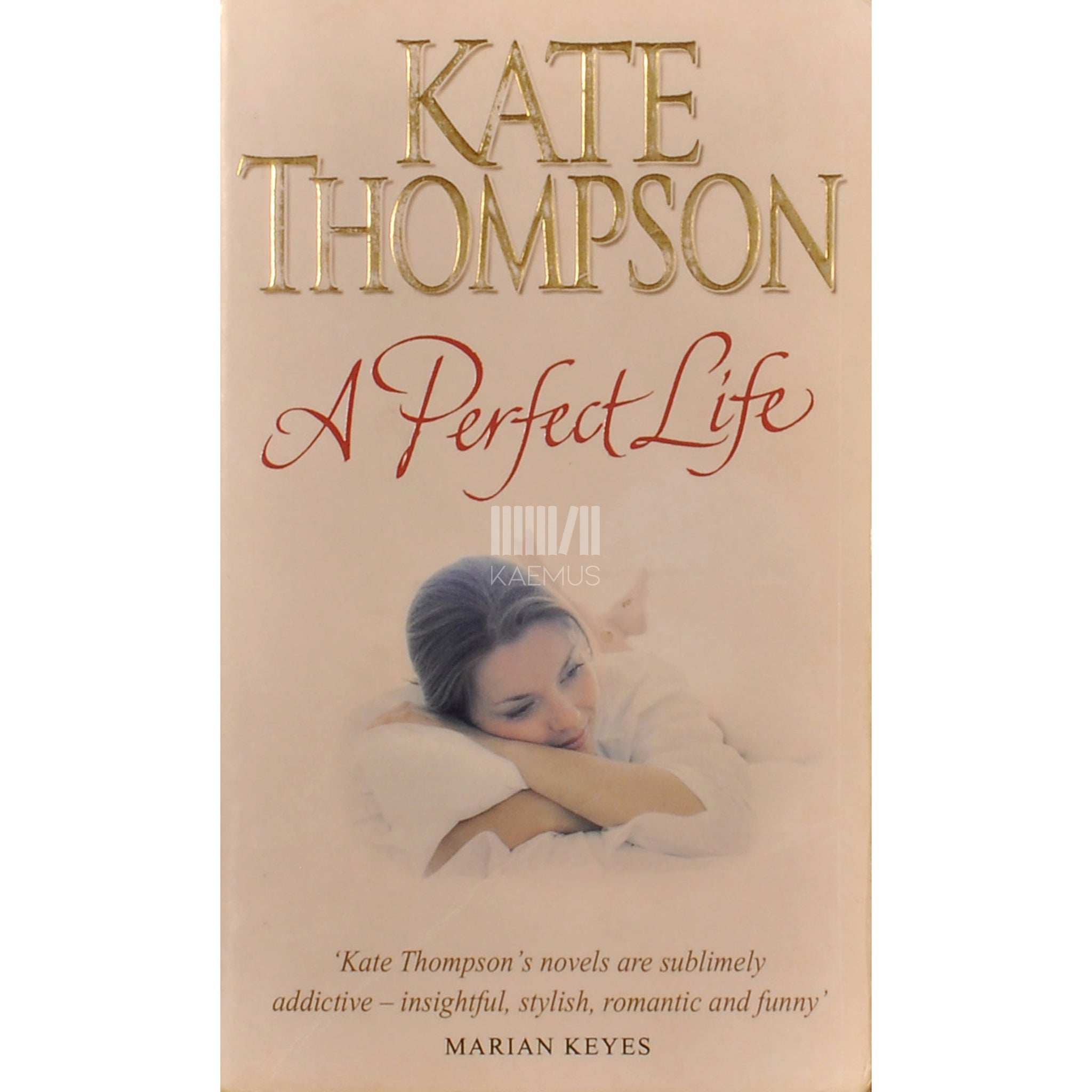 Kate Thompson A Perfect Life