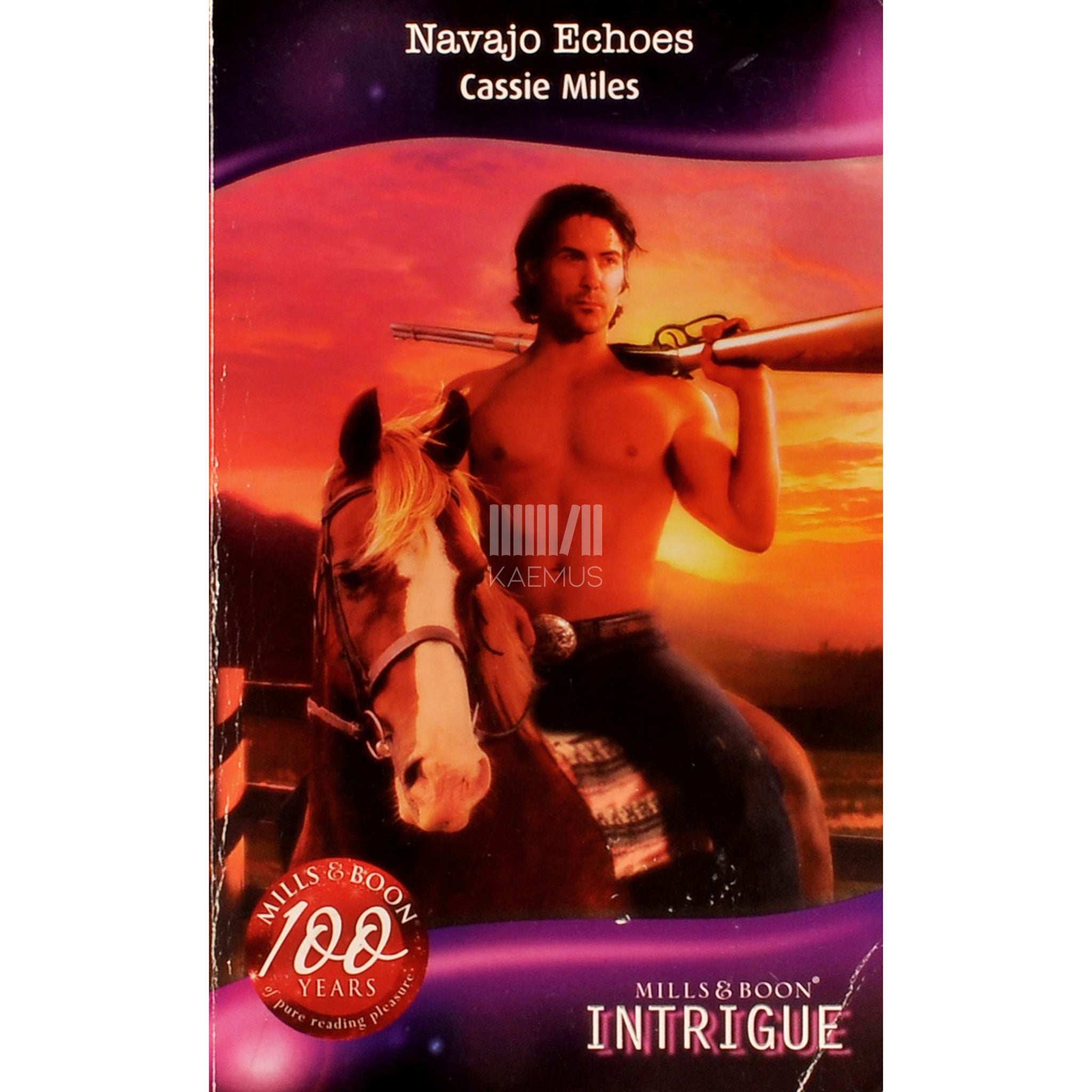Cassie Miles Navajo Echoes