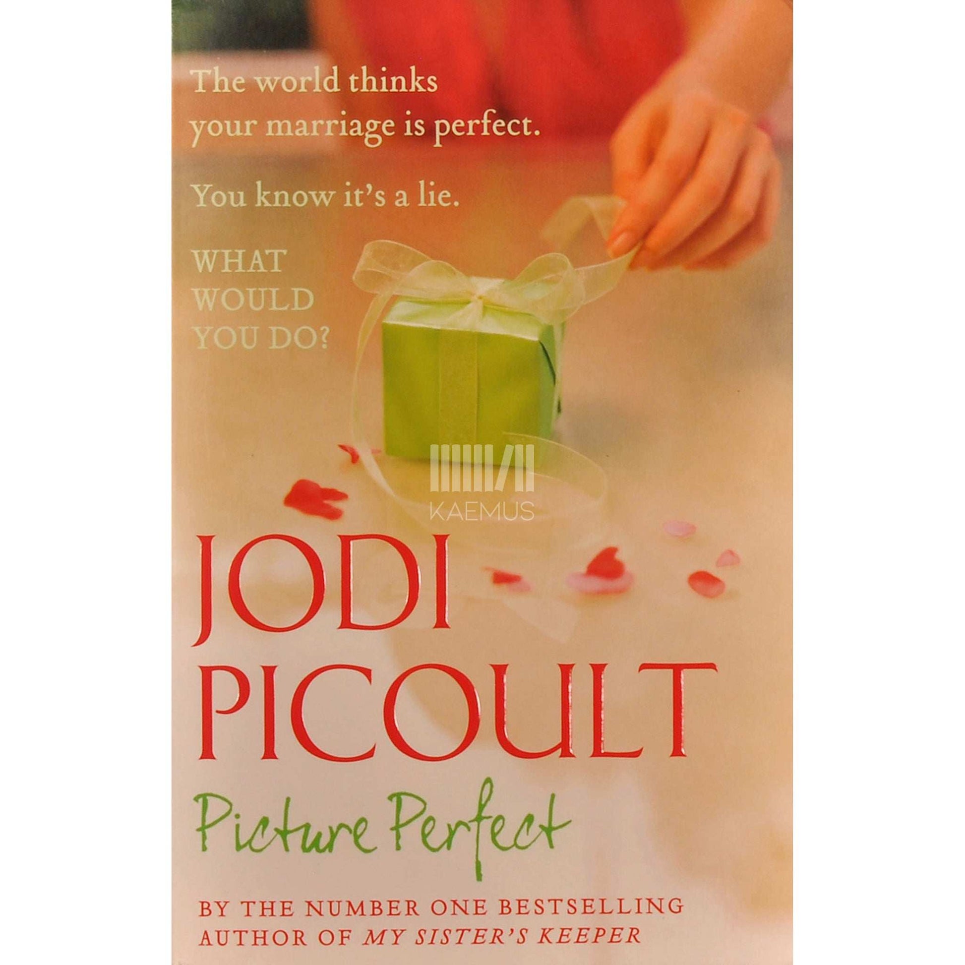 Jodi Picoult - Picture Perfect