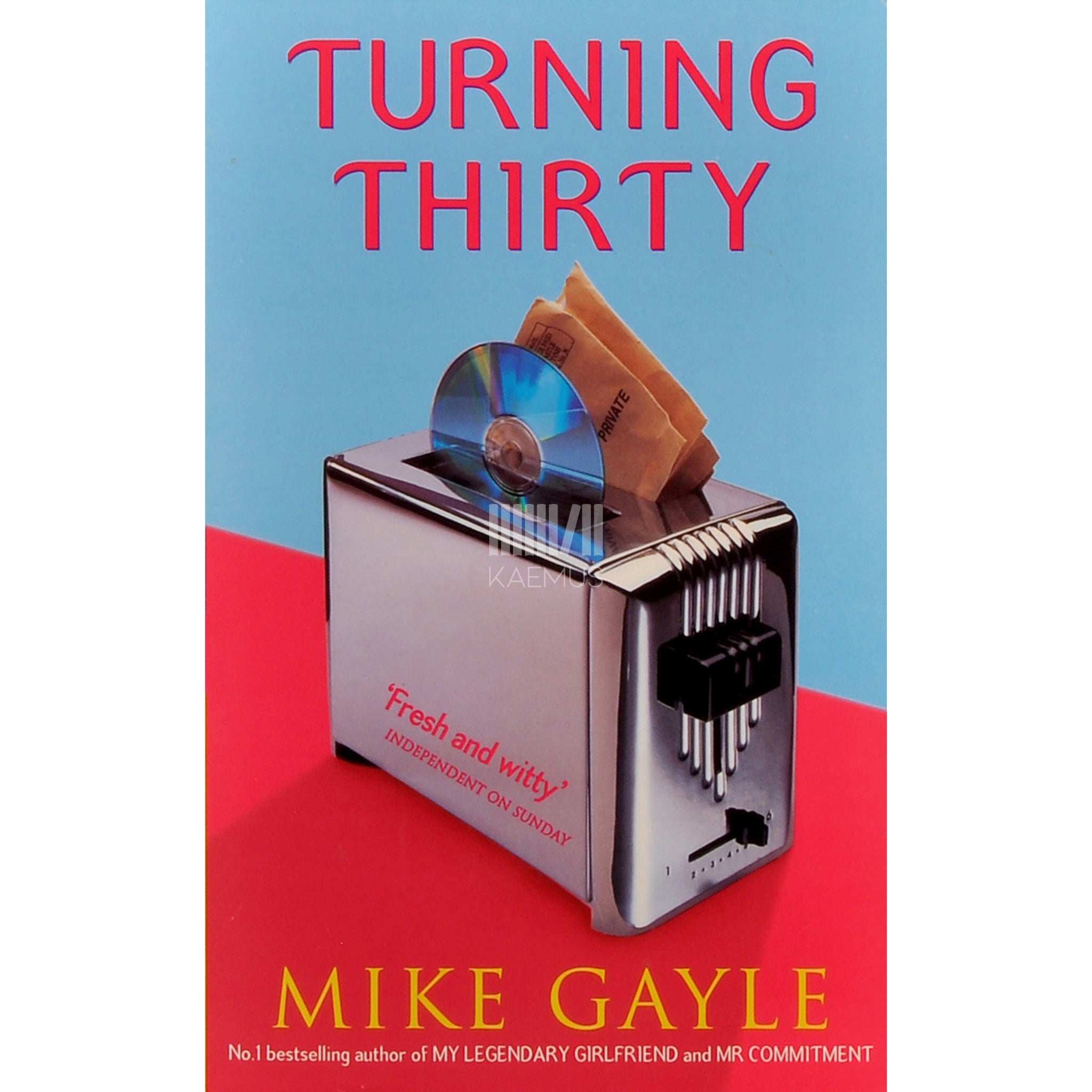 Mike Gayle Turning Thirty