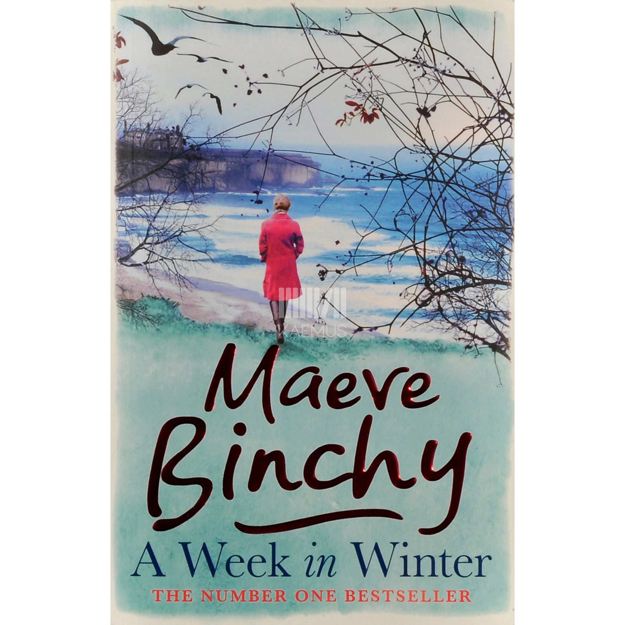 Maeve Binchy A Week In Winter