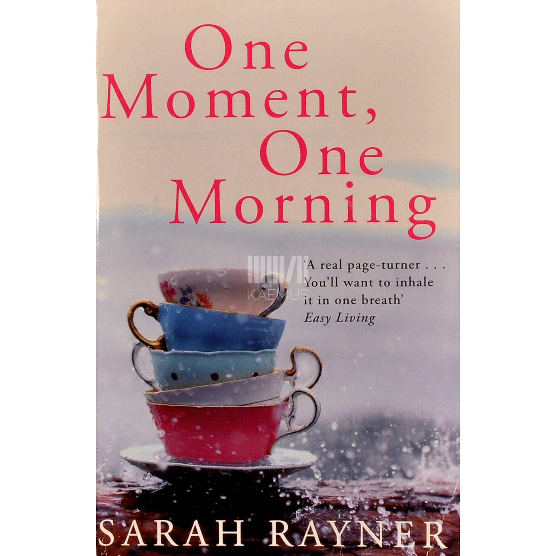 Sarah Rayner - One Moment, One Morning