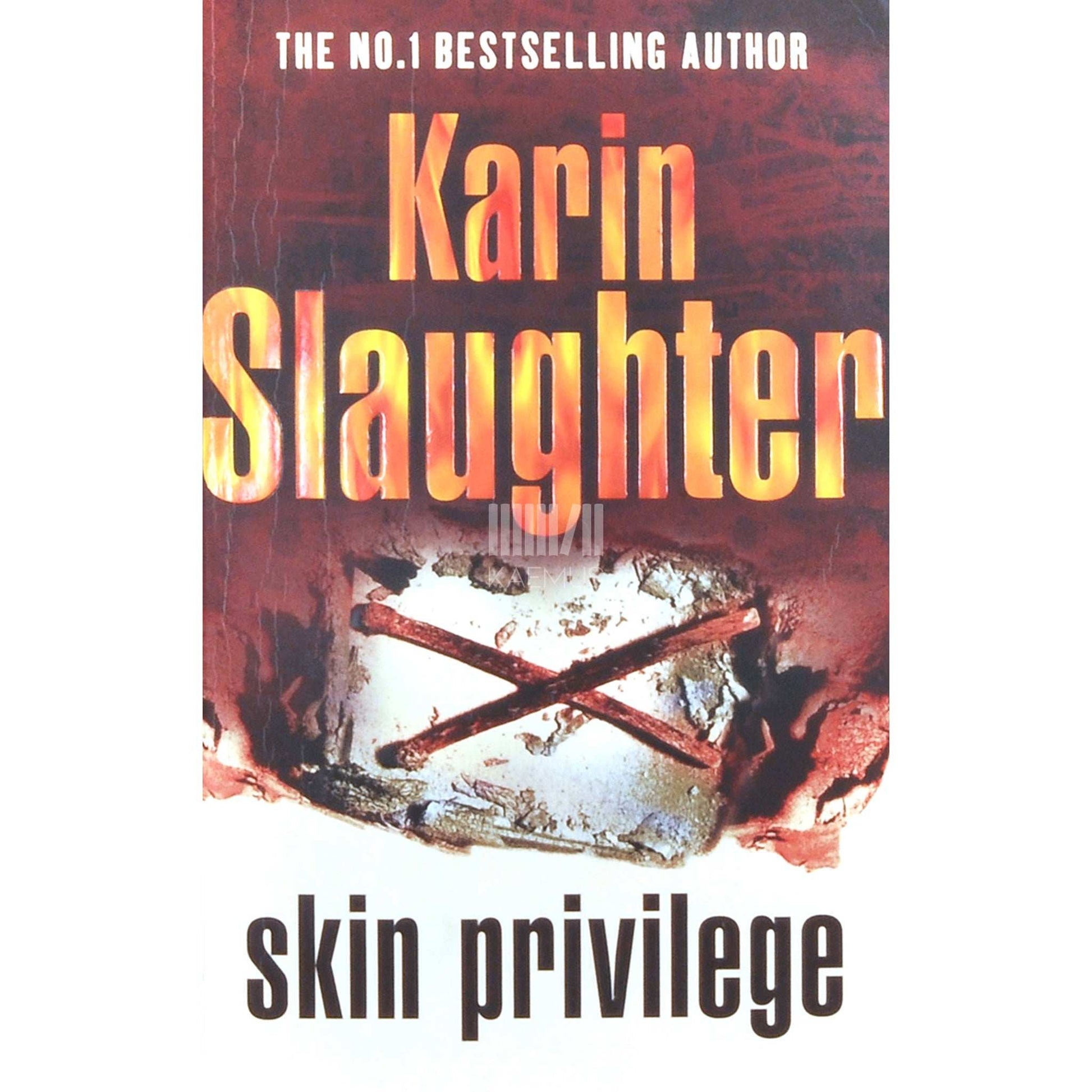 Karin Slaughter - Skin Privilege