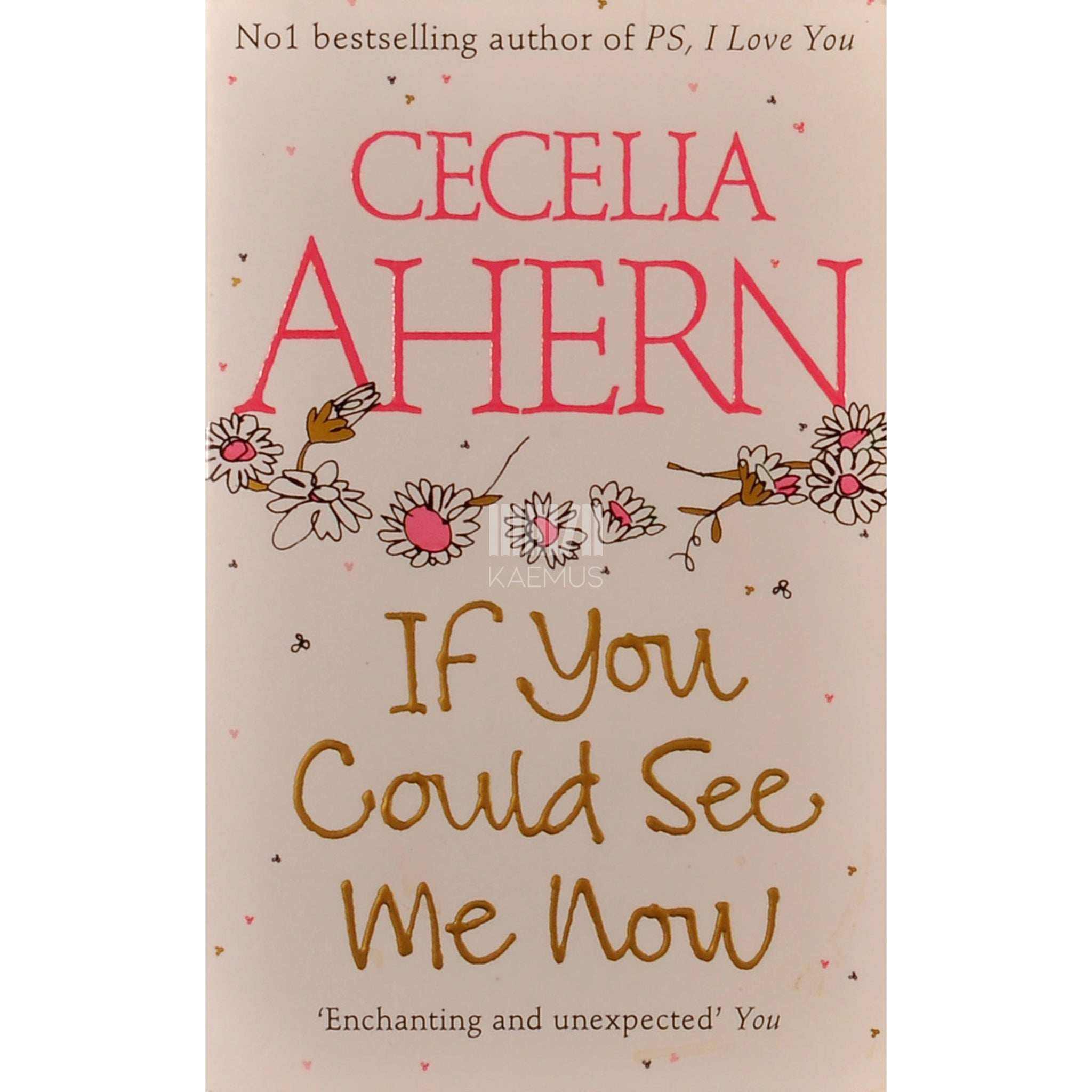 Cecelia Ahern If You Could See Me Now