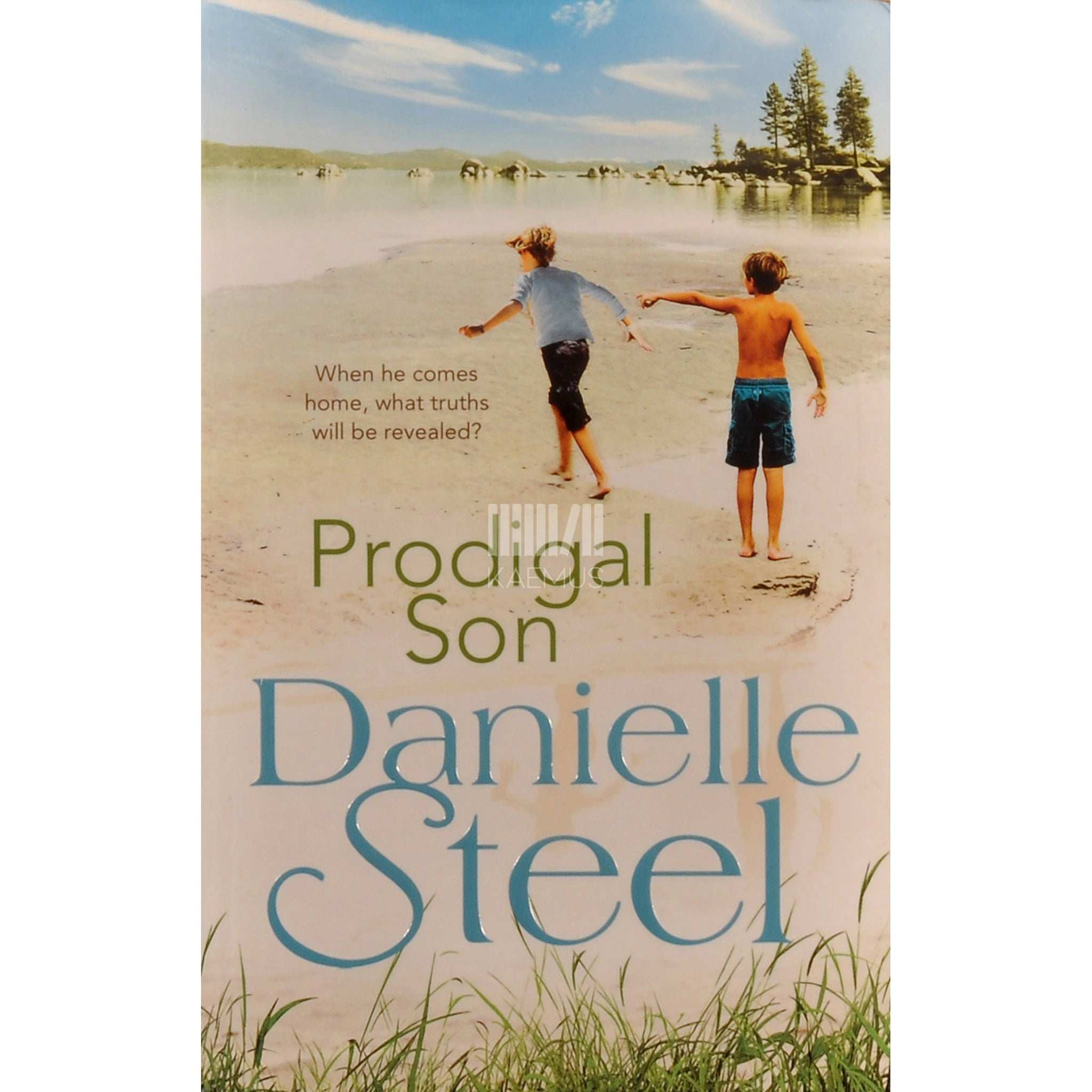 Danielle Steel Prodigal Son