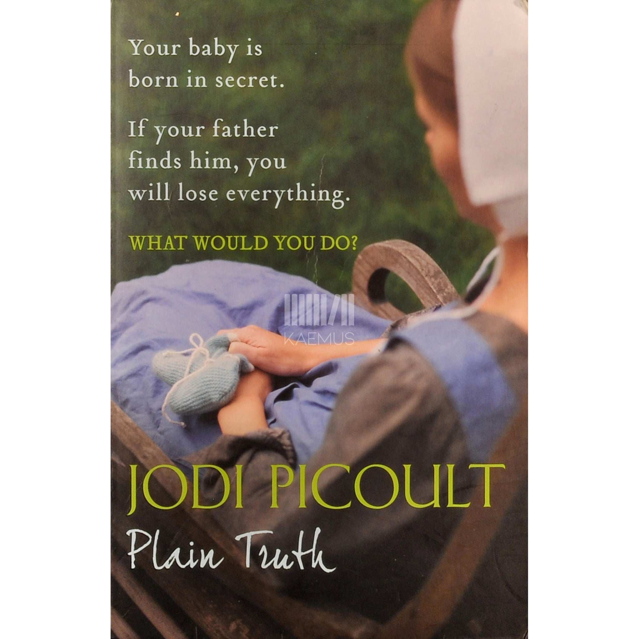Jodi Picoult Plain Truth