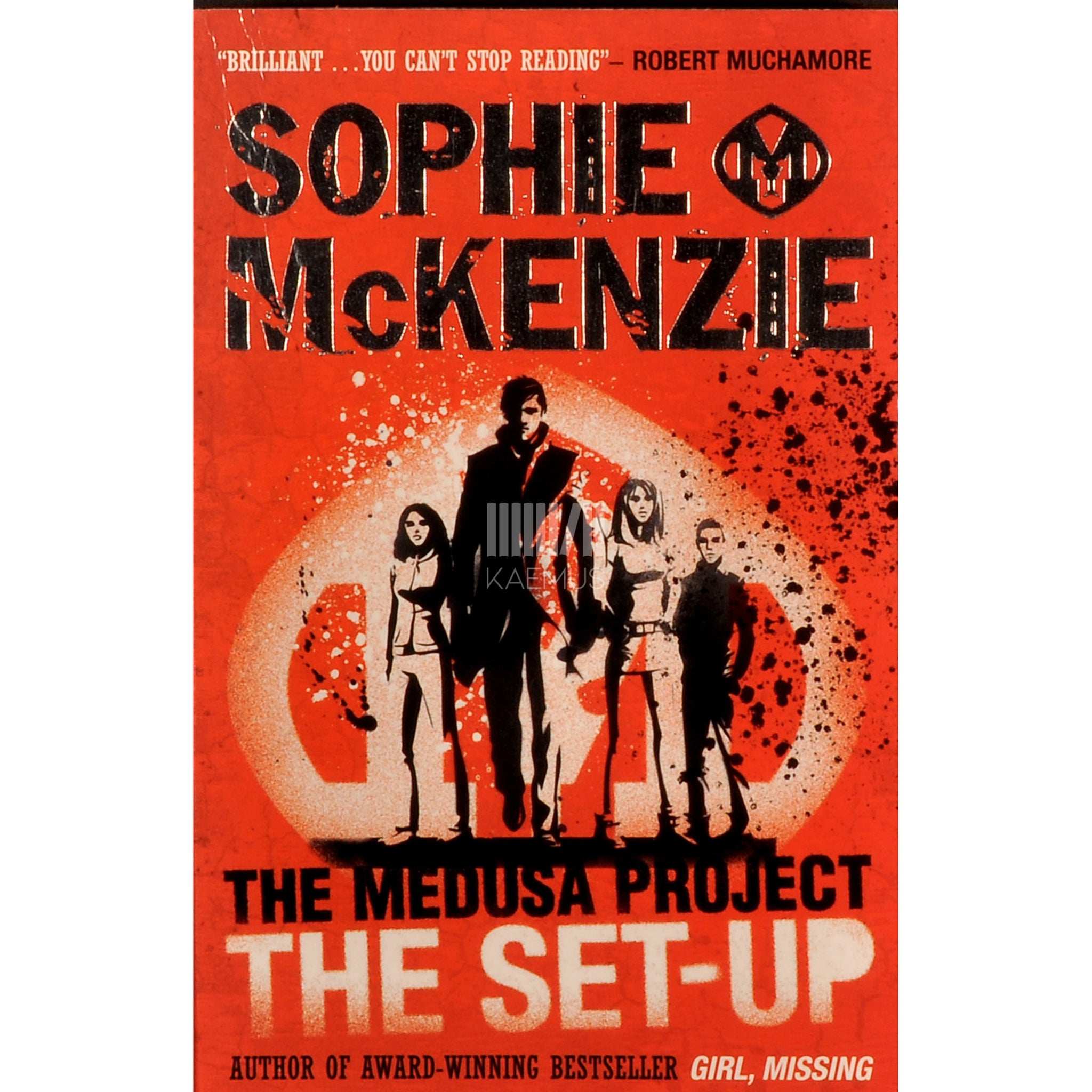 Sophie McKenzie The Set-Up