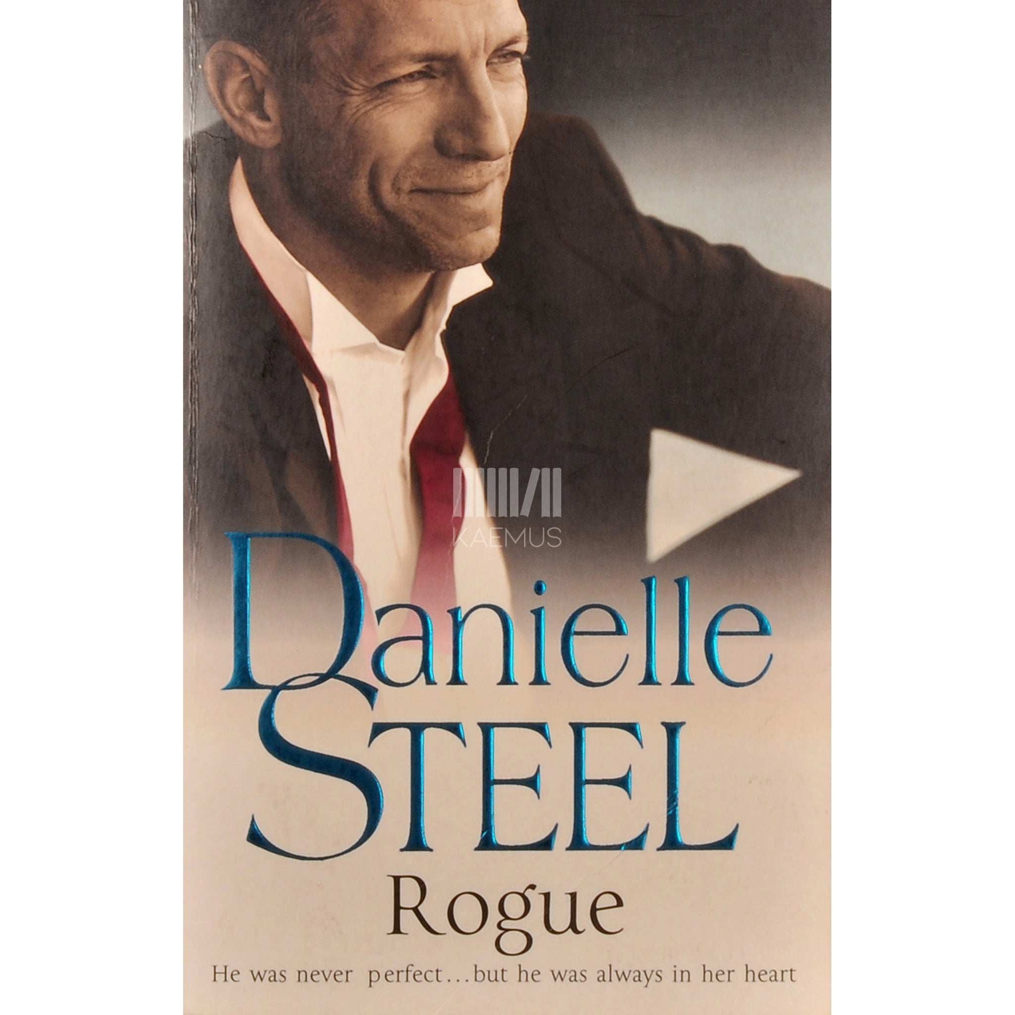 Danielle Steel Rogue