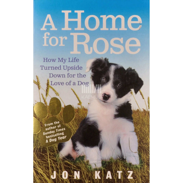 Jon Katz - A Home For Rose