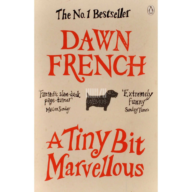 Dawn French - A Tiny Bit Marvellous