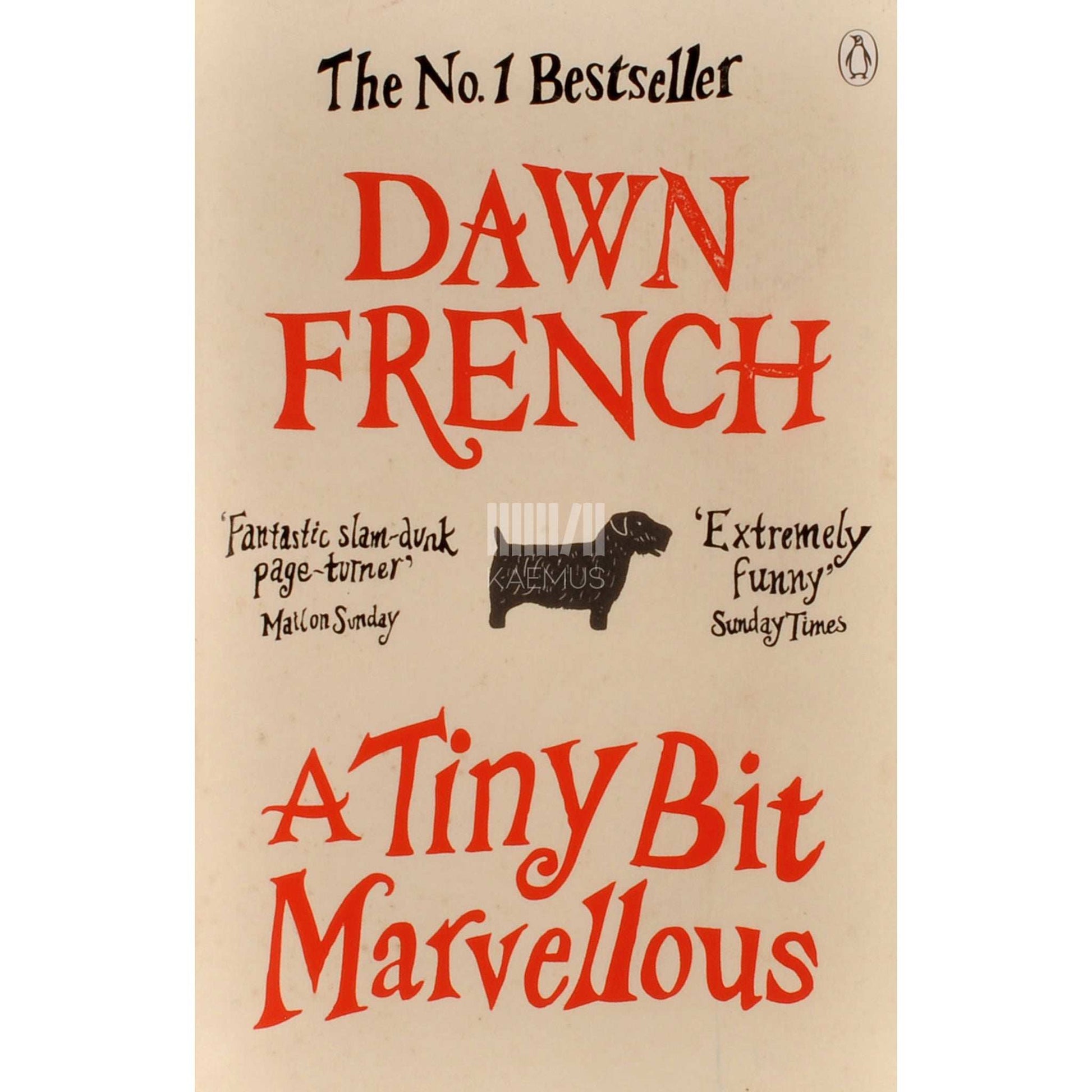 Dawn French - A Tiny Bit Marvellous