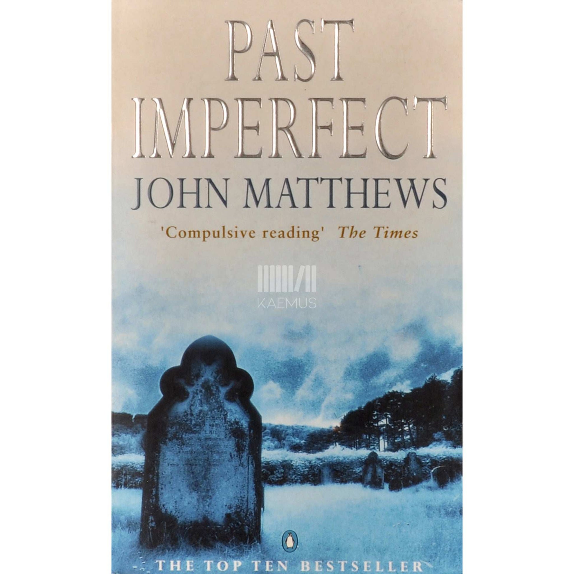 John Matthews - Past Imperfect