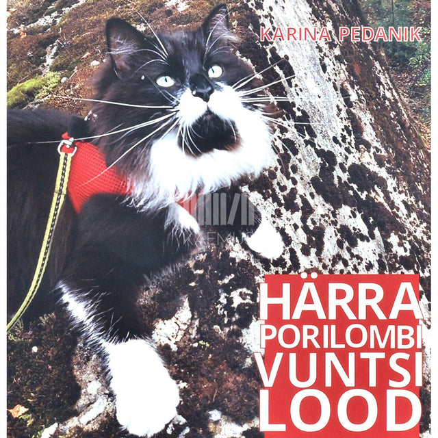 Karina Pedanik - Härra Porilombi Vuntsi lood