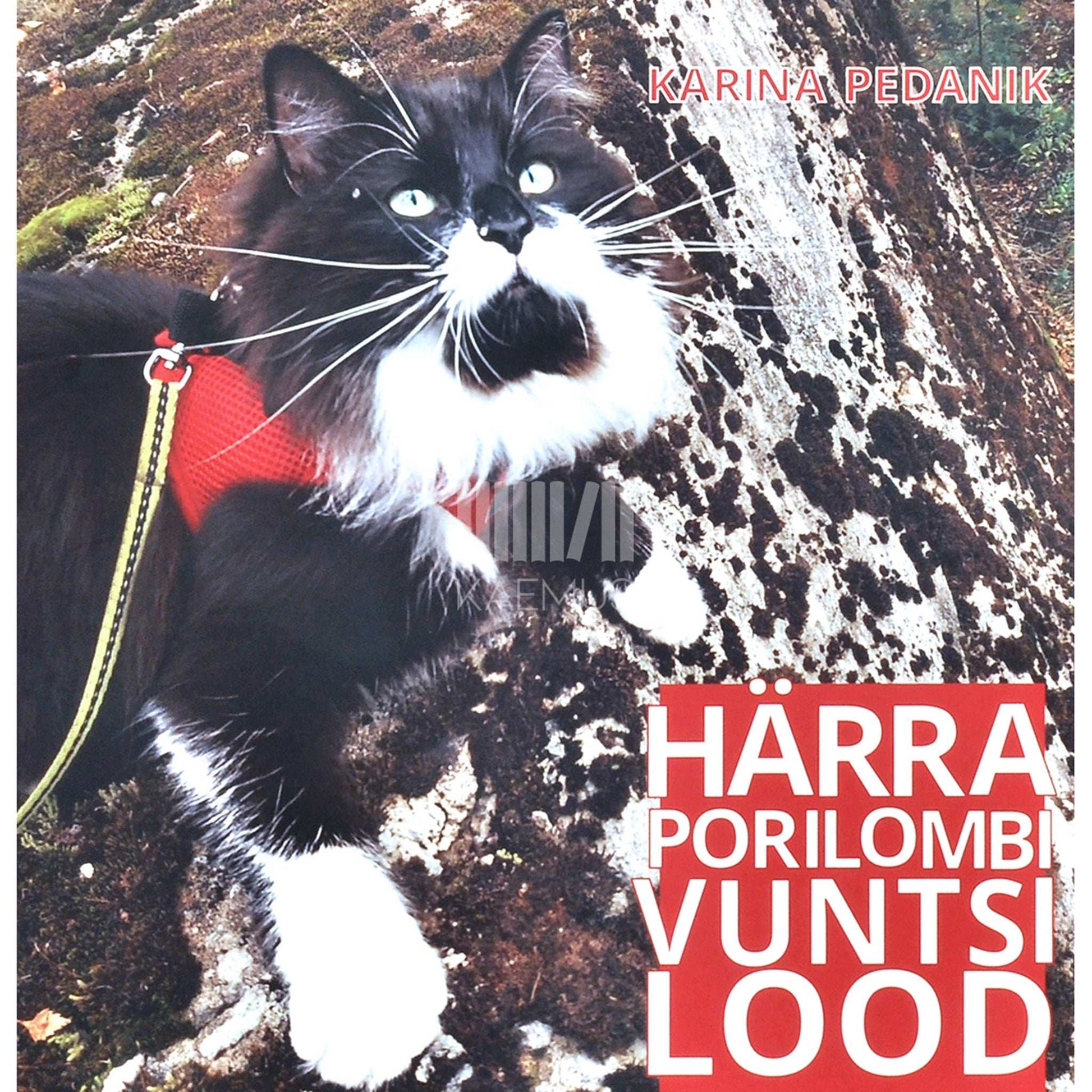 Karina Pedanik - Härra Porilombi Vuntsi lood