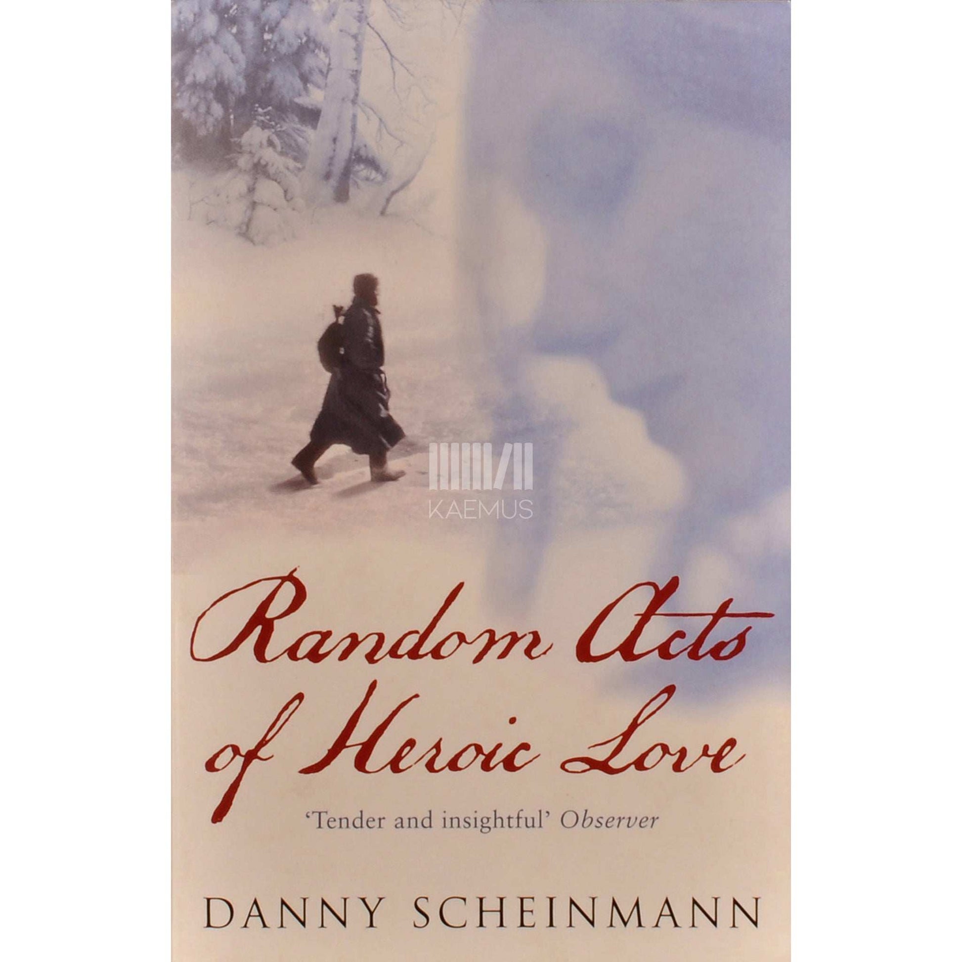 Danny Scheinmann - Random Acts Of Heroic Love
