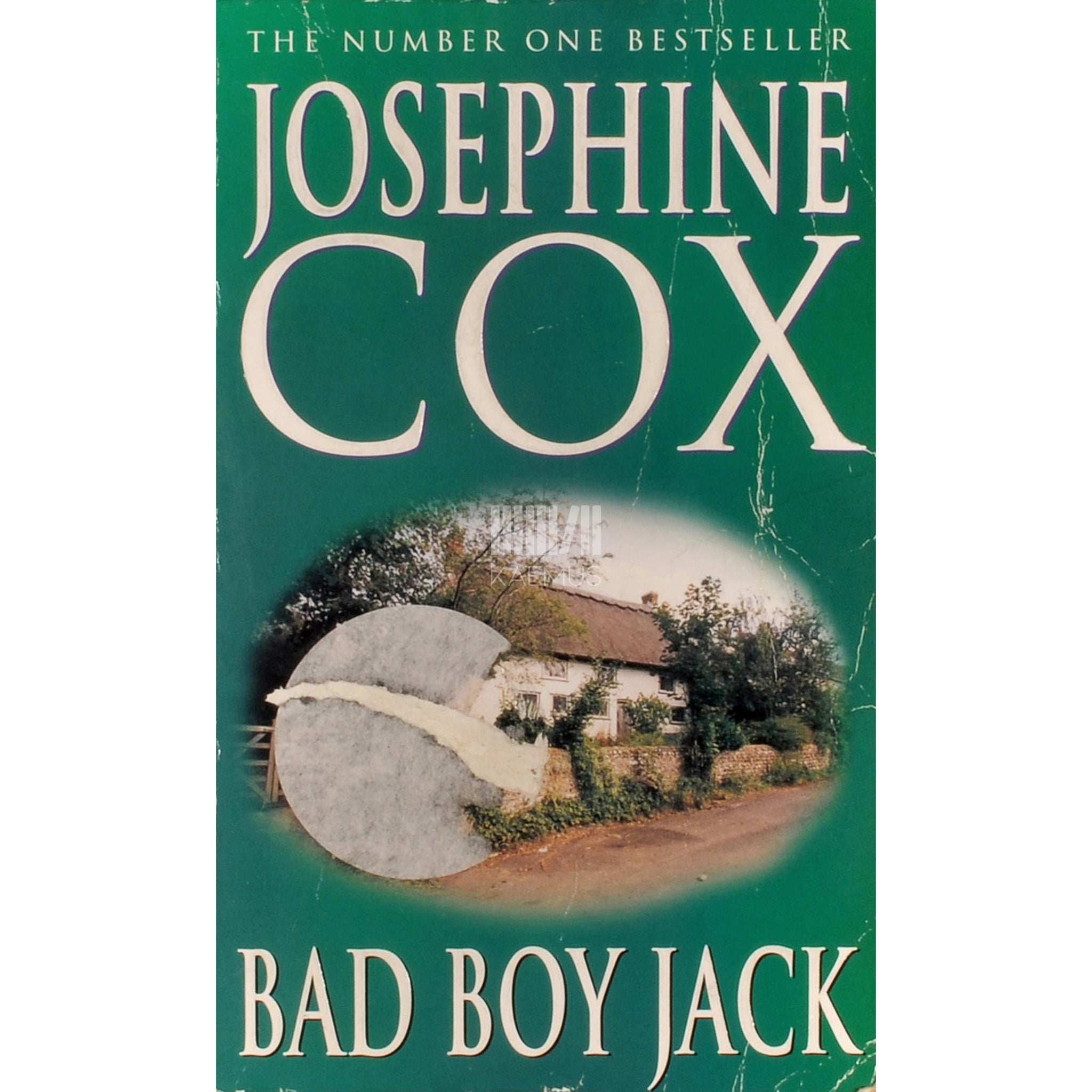 Josephine Cox Bad Boy Jack