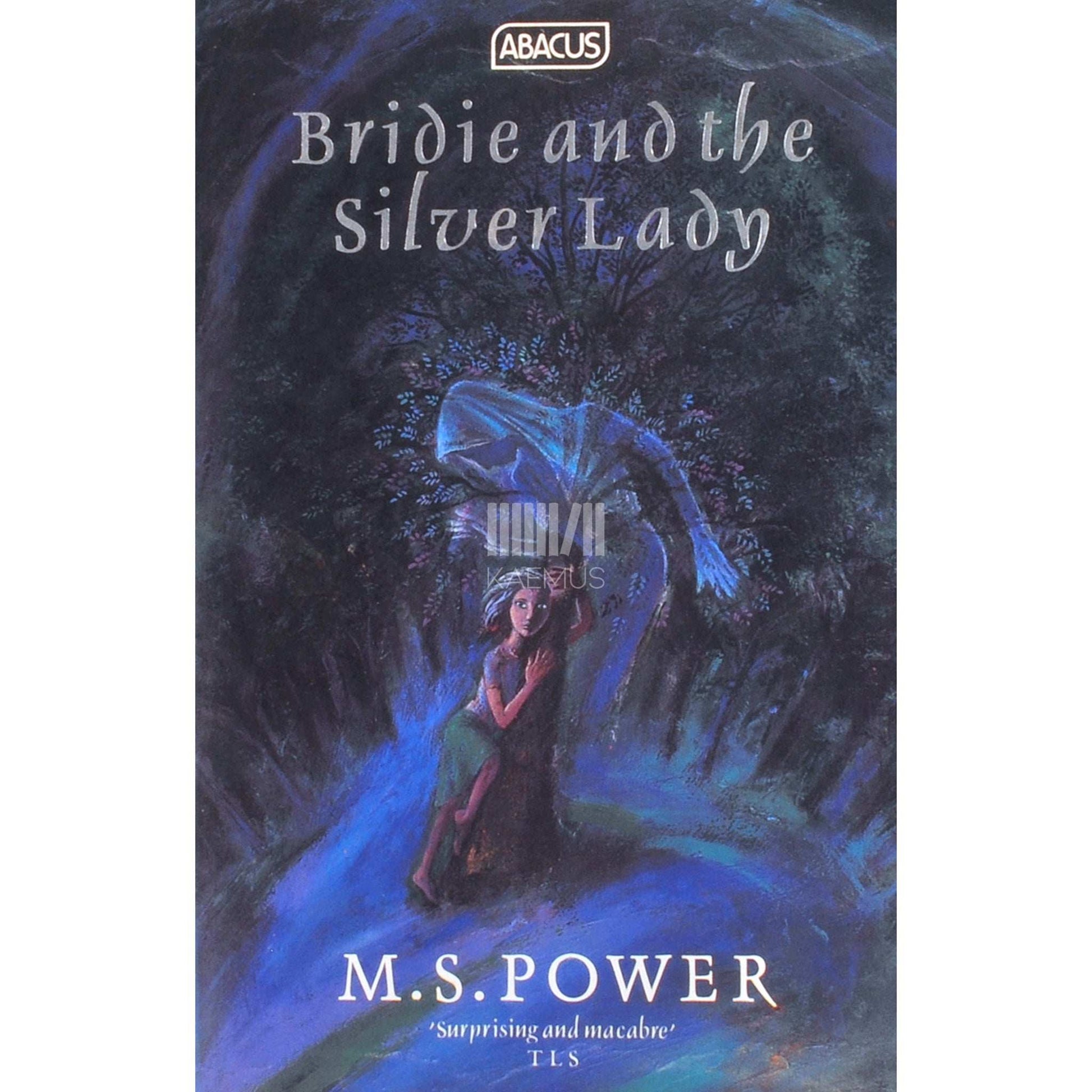 M.S. Power - Bridie And The Silver Lady