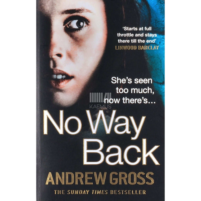 Andrew Gross - No Way Back