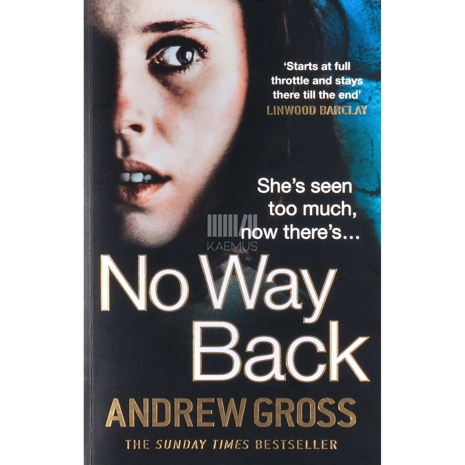 Andrew Gross - No Way Back