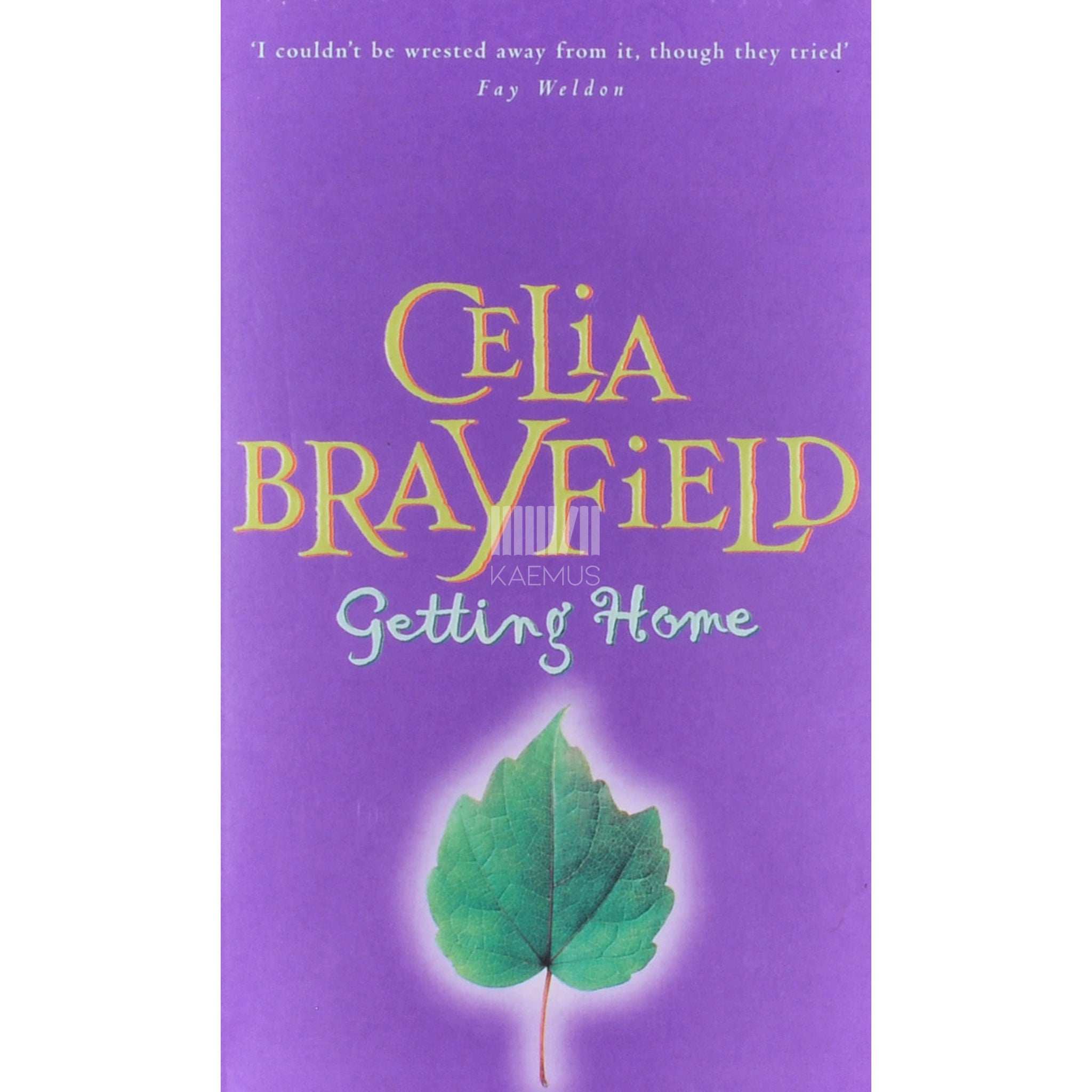Celia Brayfield Getting Home