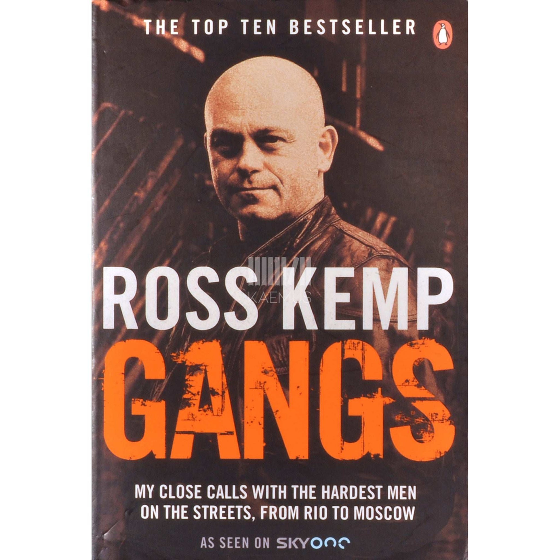 Ross Kemp - Gangs