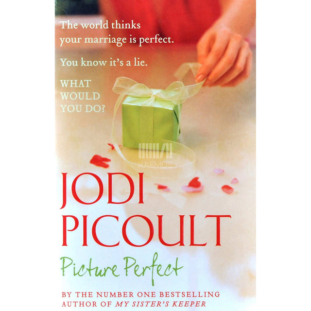 Jodi Picoult - Picture Perfect