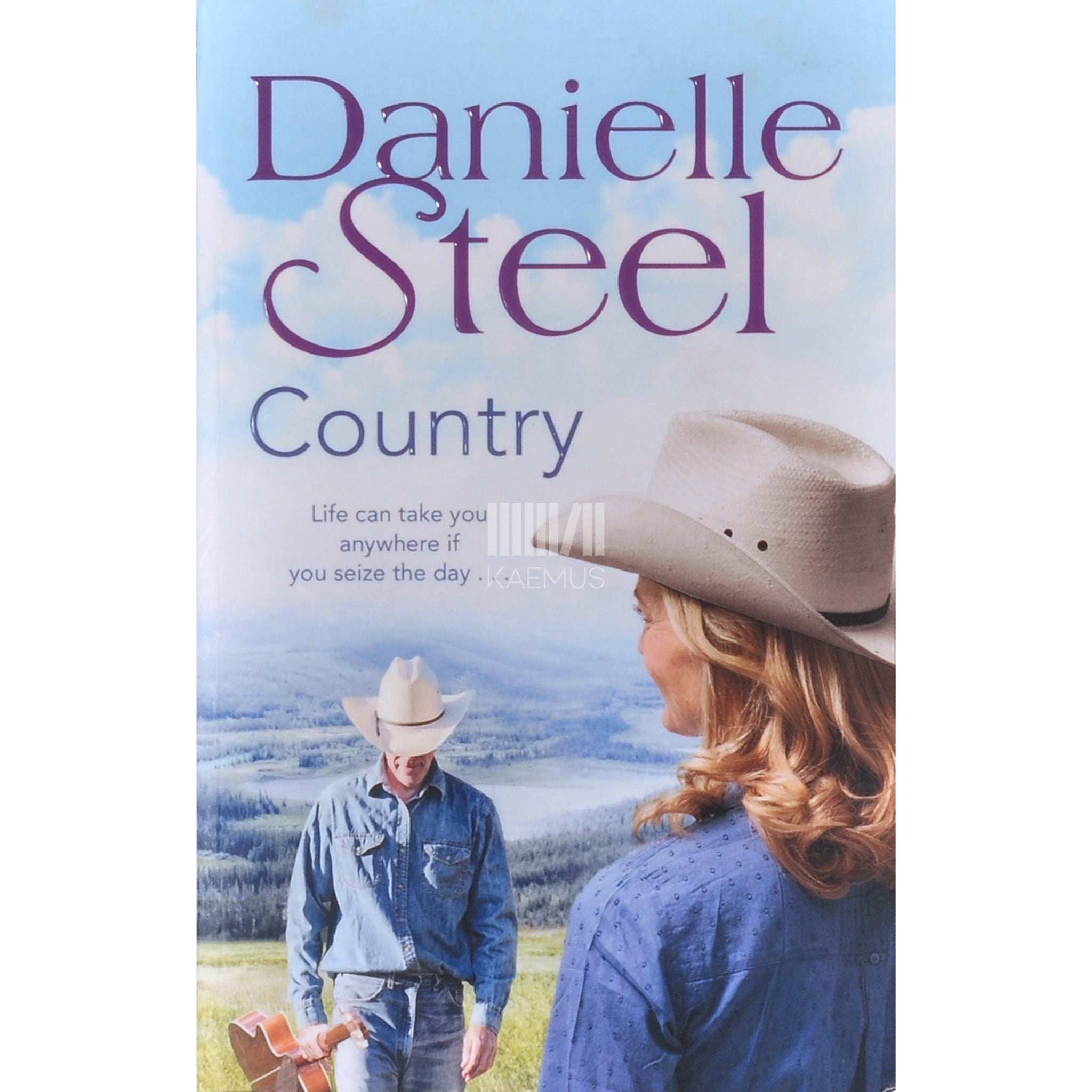Danielle Steel Country