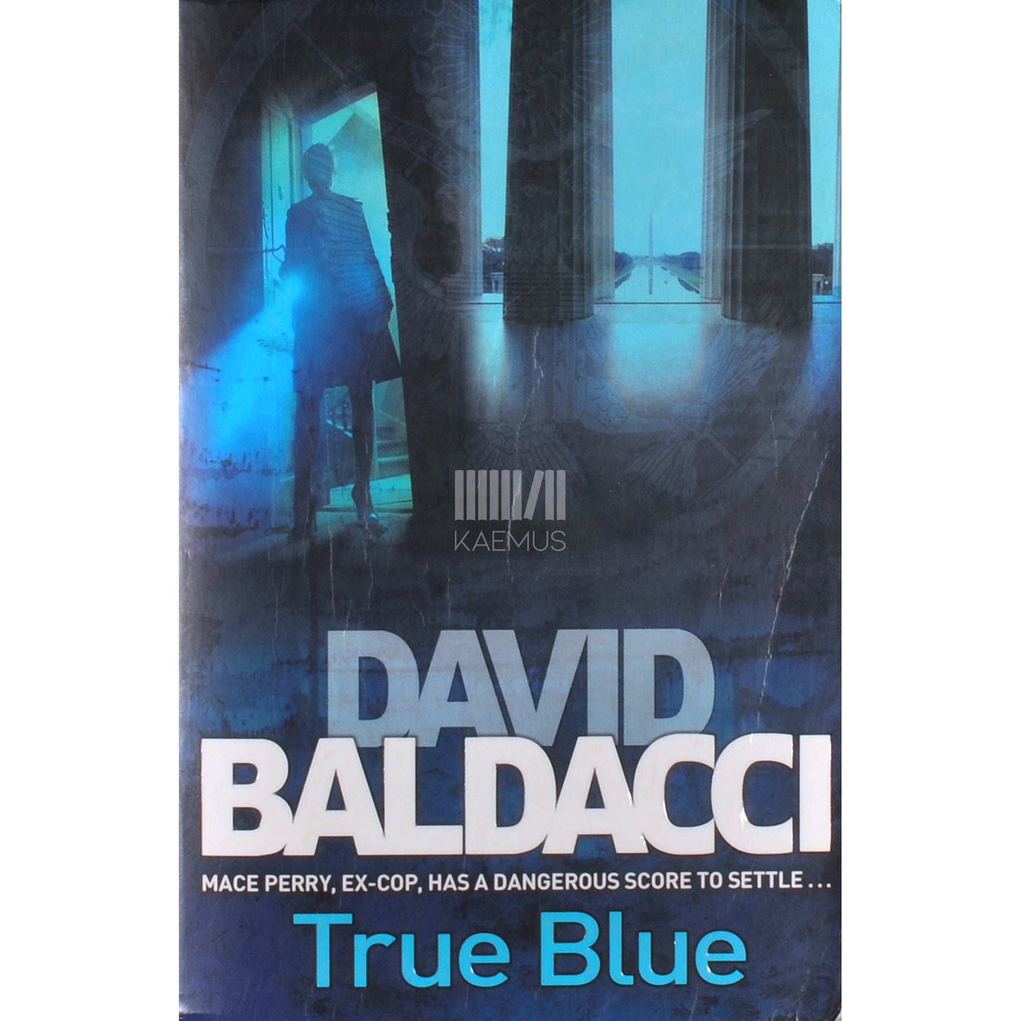 David Baldacci True Blue