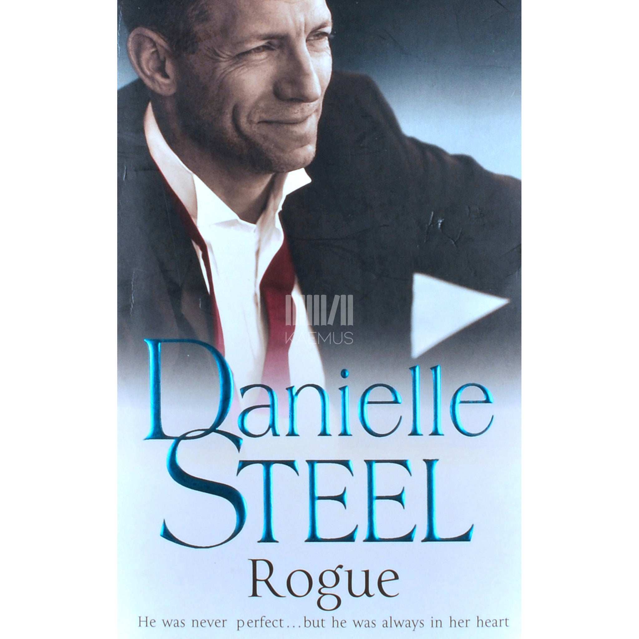 Danielle Steel Rogue