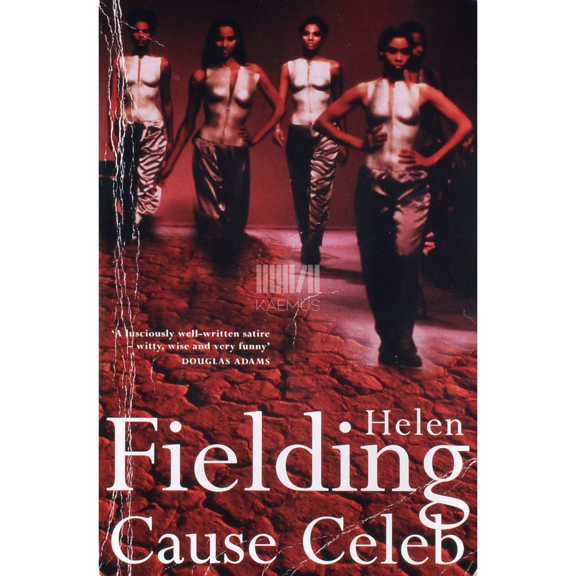 Helen Fielding - Cause Celeb