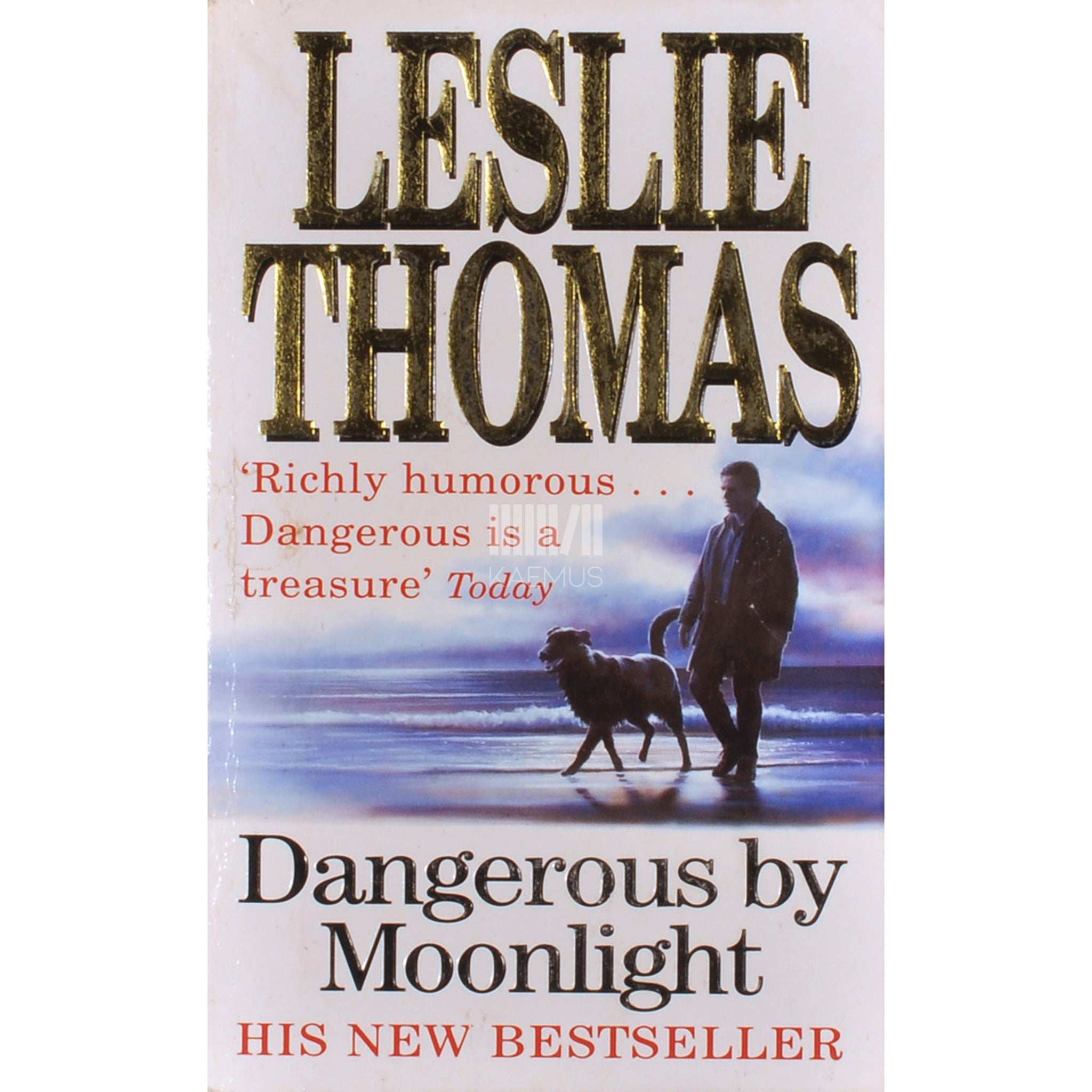 Leslie Thomas Dangerous By Moonlight