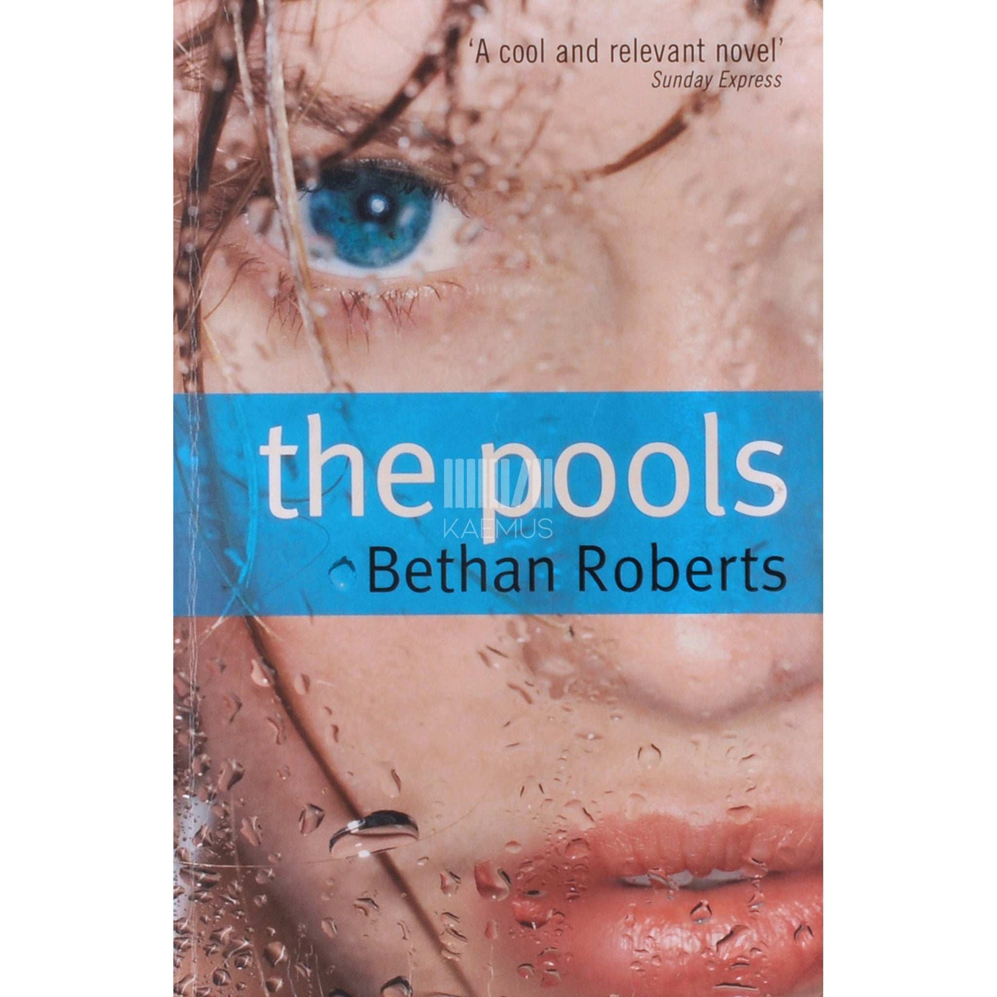 Bethan Roberts - The Pools