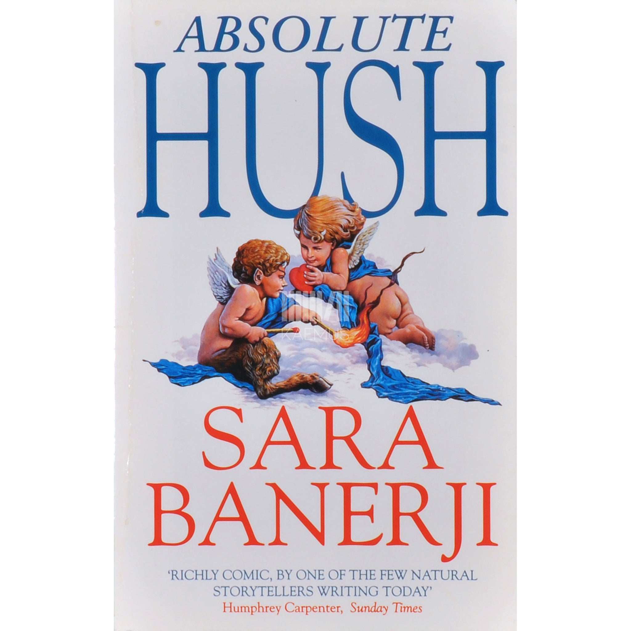 Banerji Sara Absolute Hush